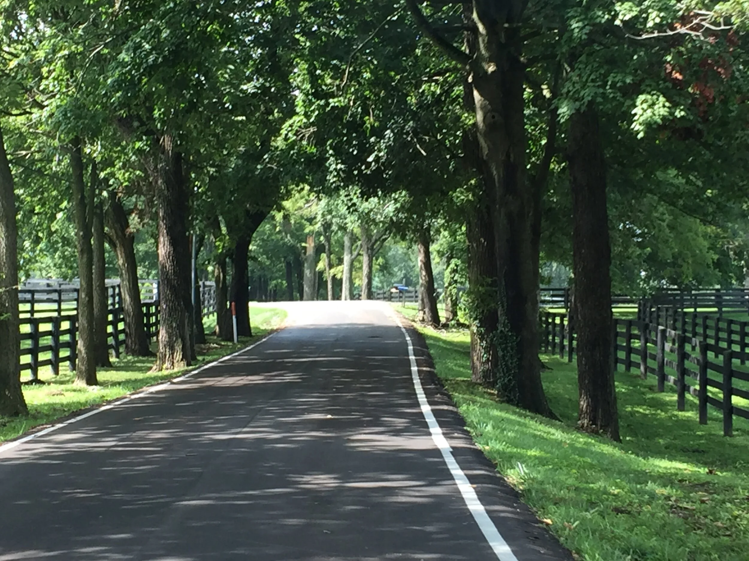 Lexington, Kentucky Horse Farm Drive