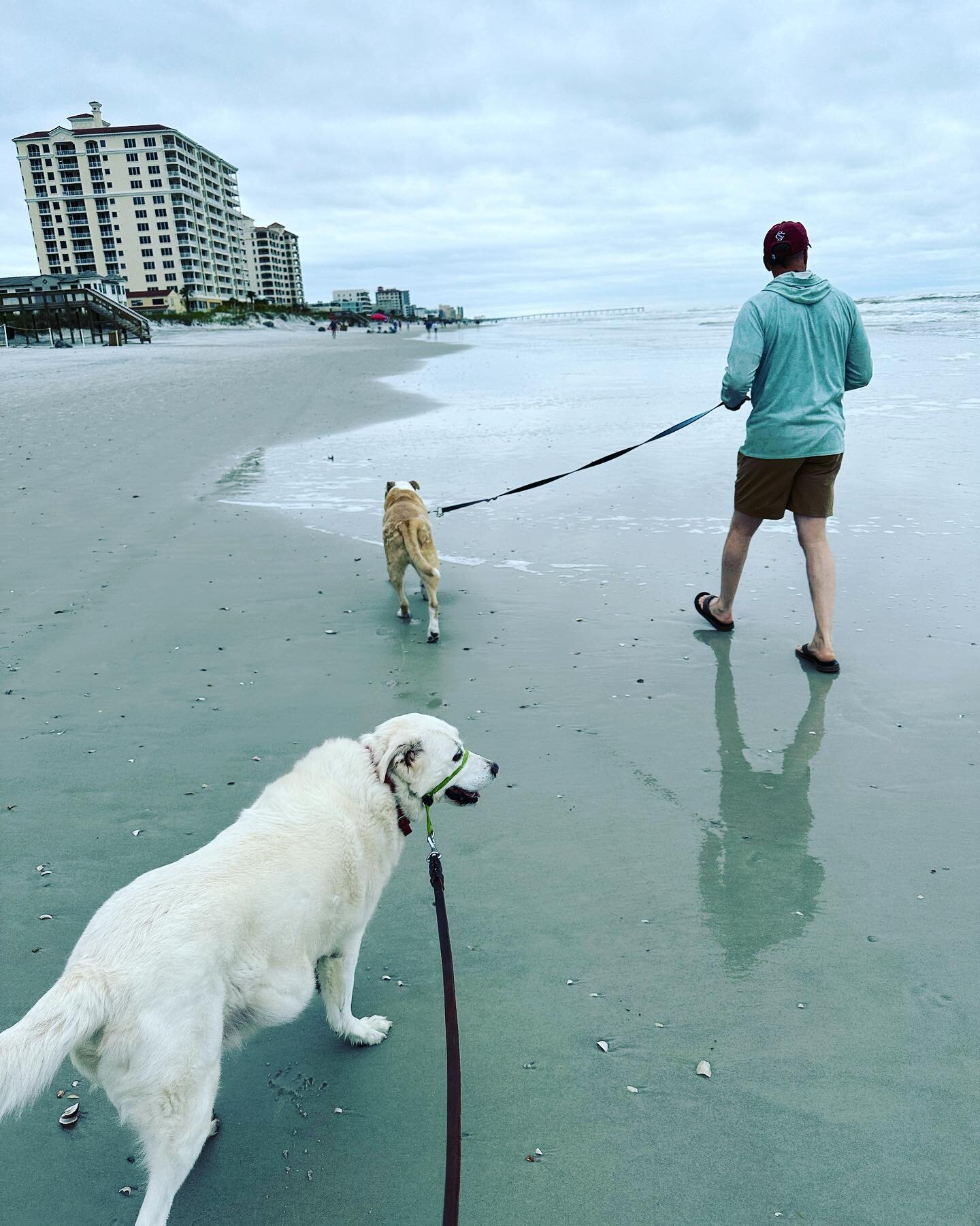 The Best Goal to Have — Jennifer Bosma