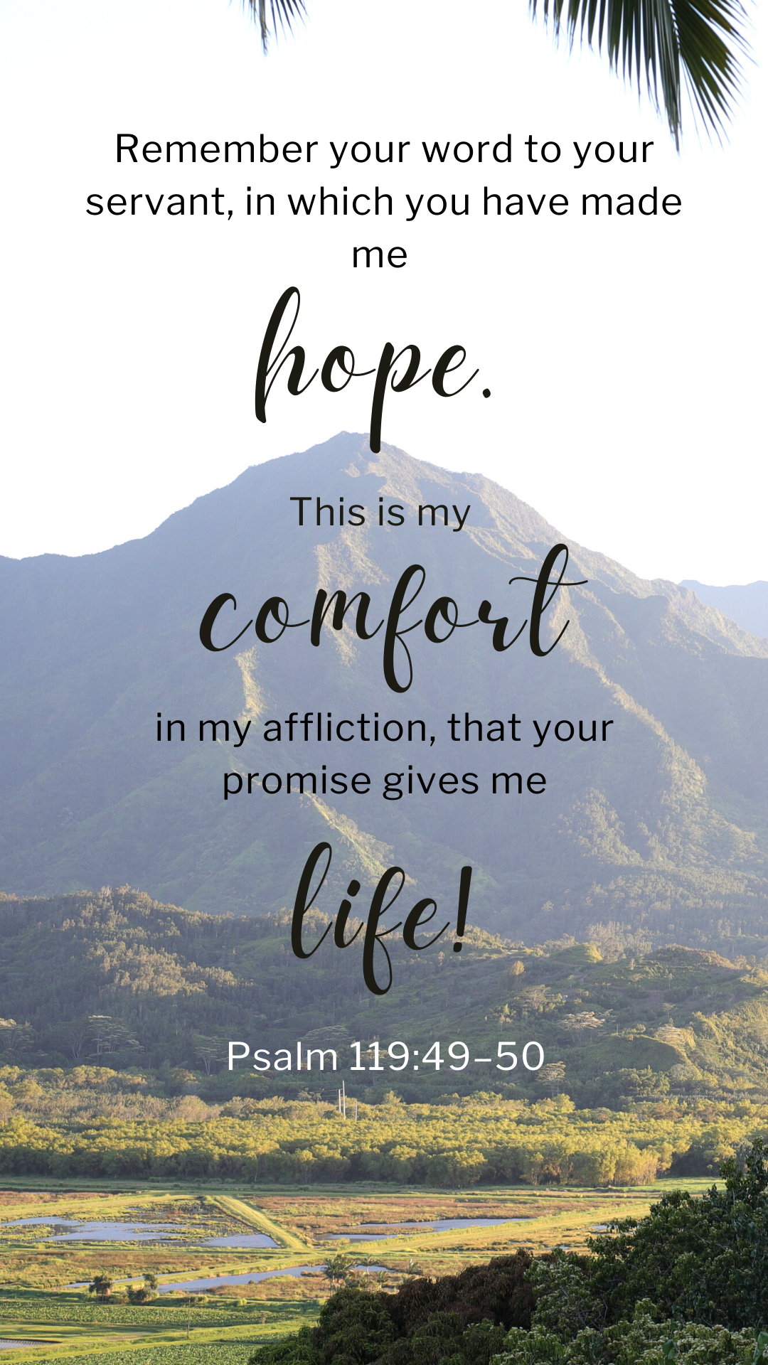 Hope, Comfort, Life=All That We Need!