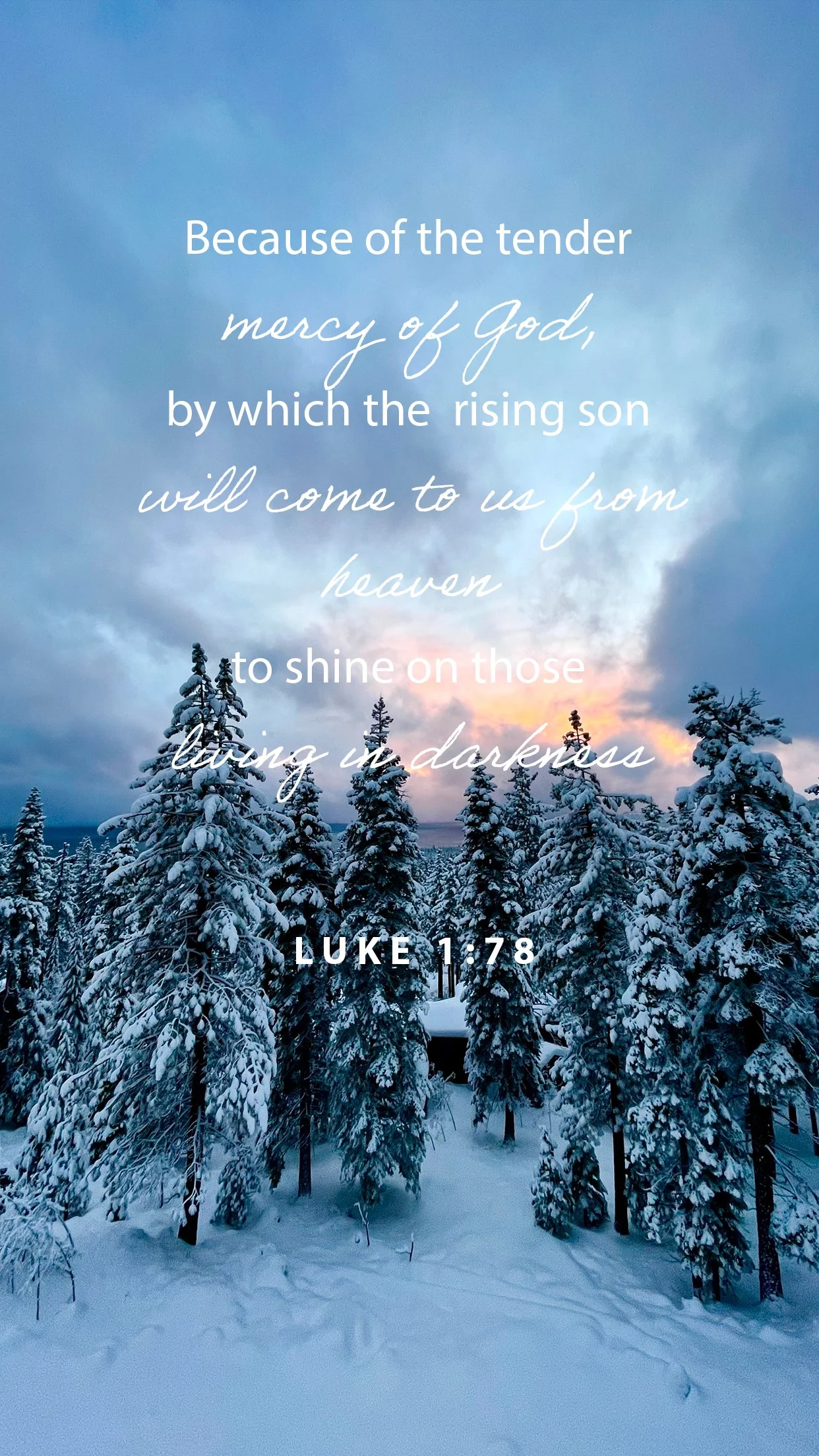Jesus: Light into the Darkness