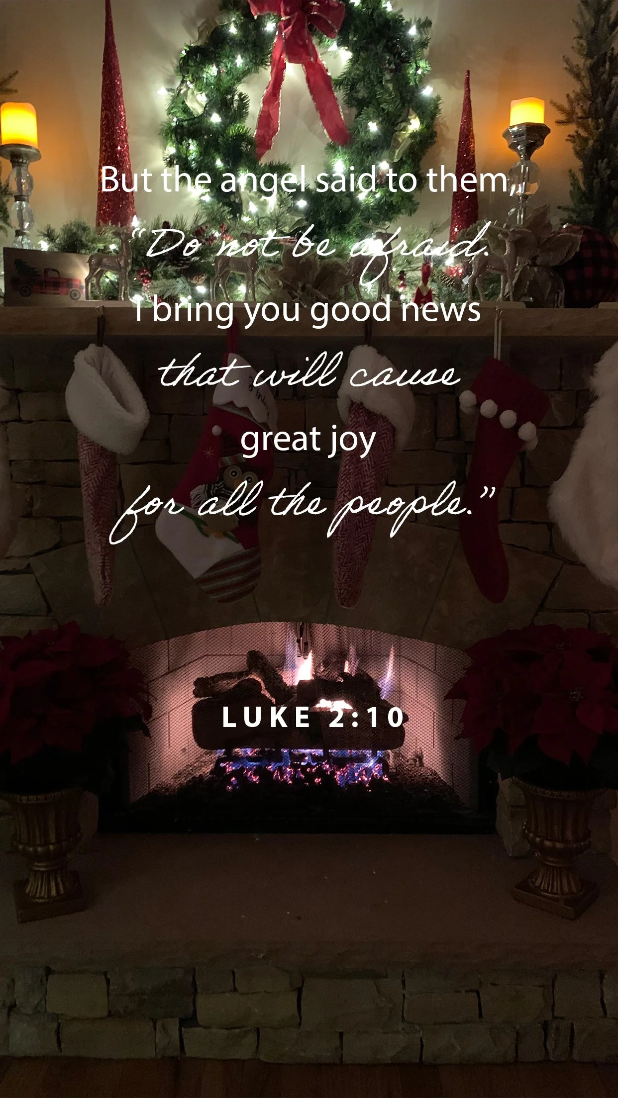 Do Not Be Afraid- Great Joy is Here!