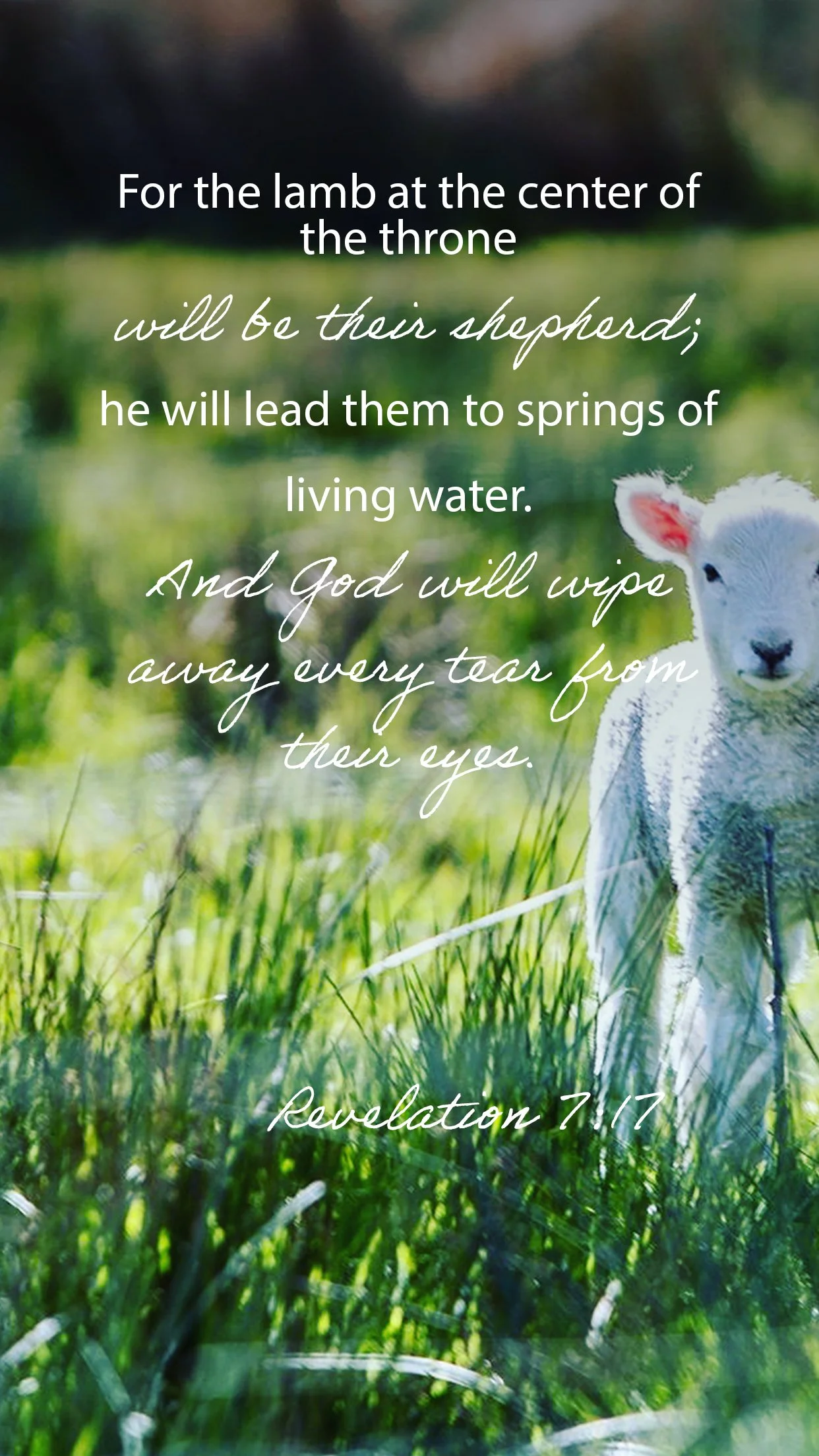 Be Led to the Springs of Living Water