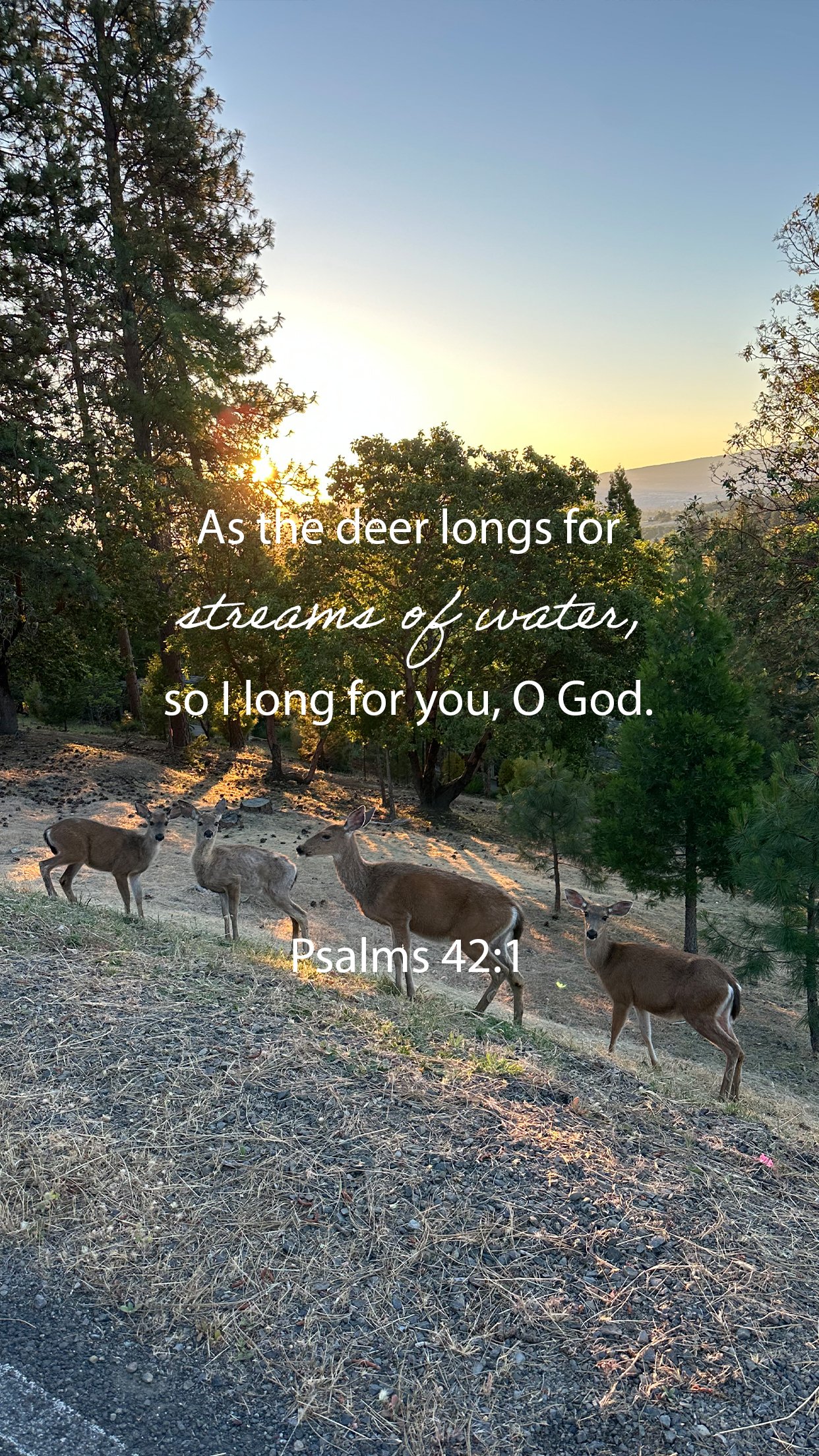 As You Long for Water, Long for God