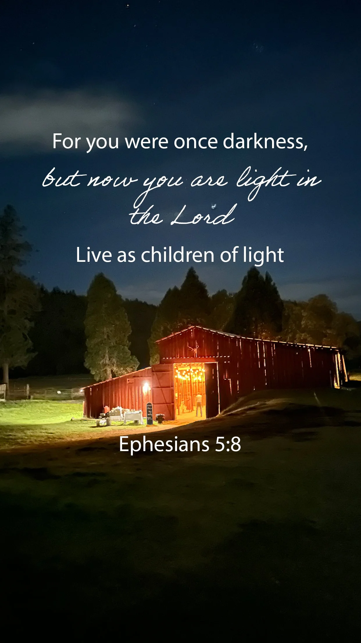 Go to the Light