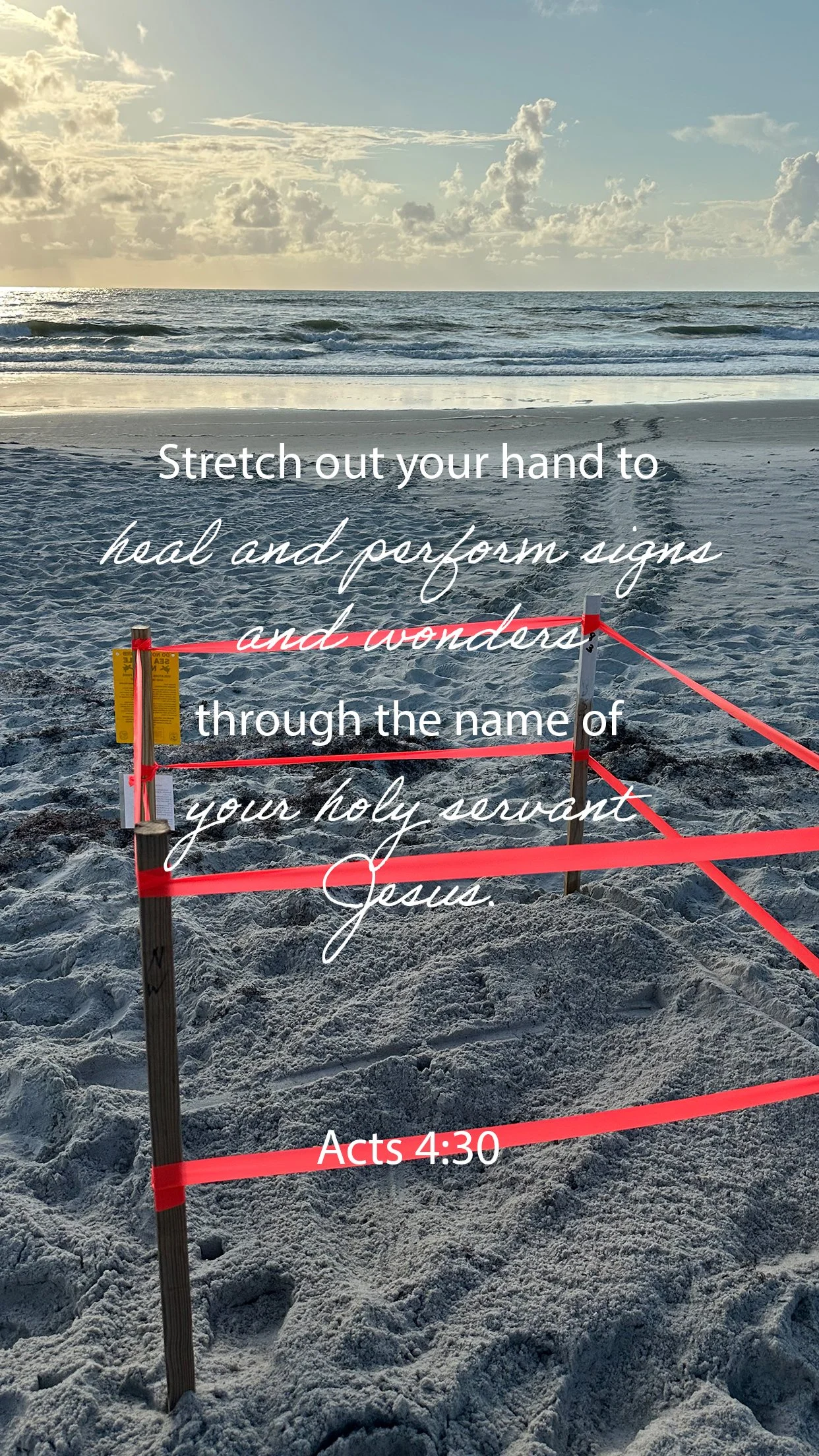Signs and Wonders are Everywhere from Jesus
