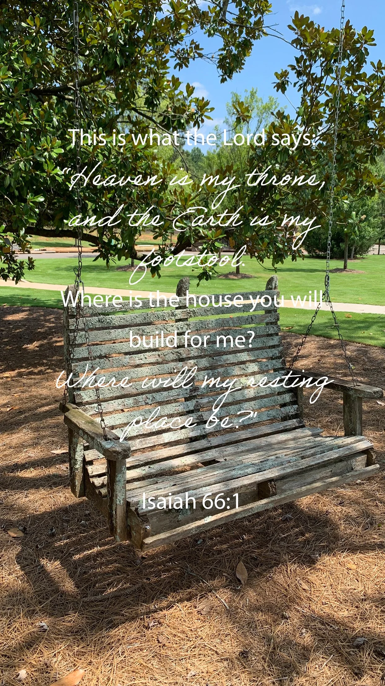 Where Will You Rest?