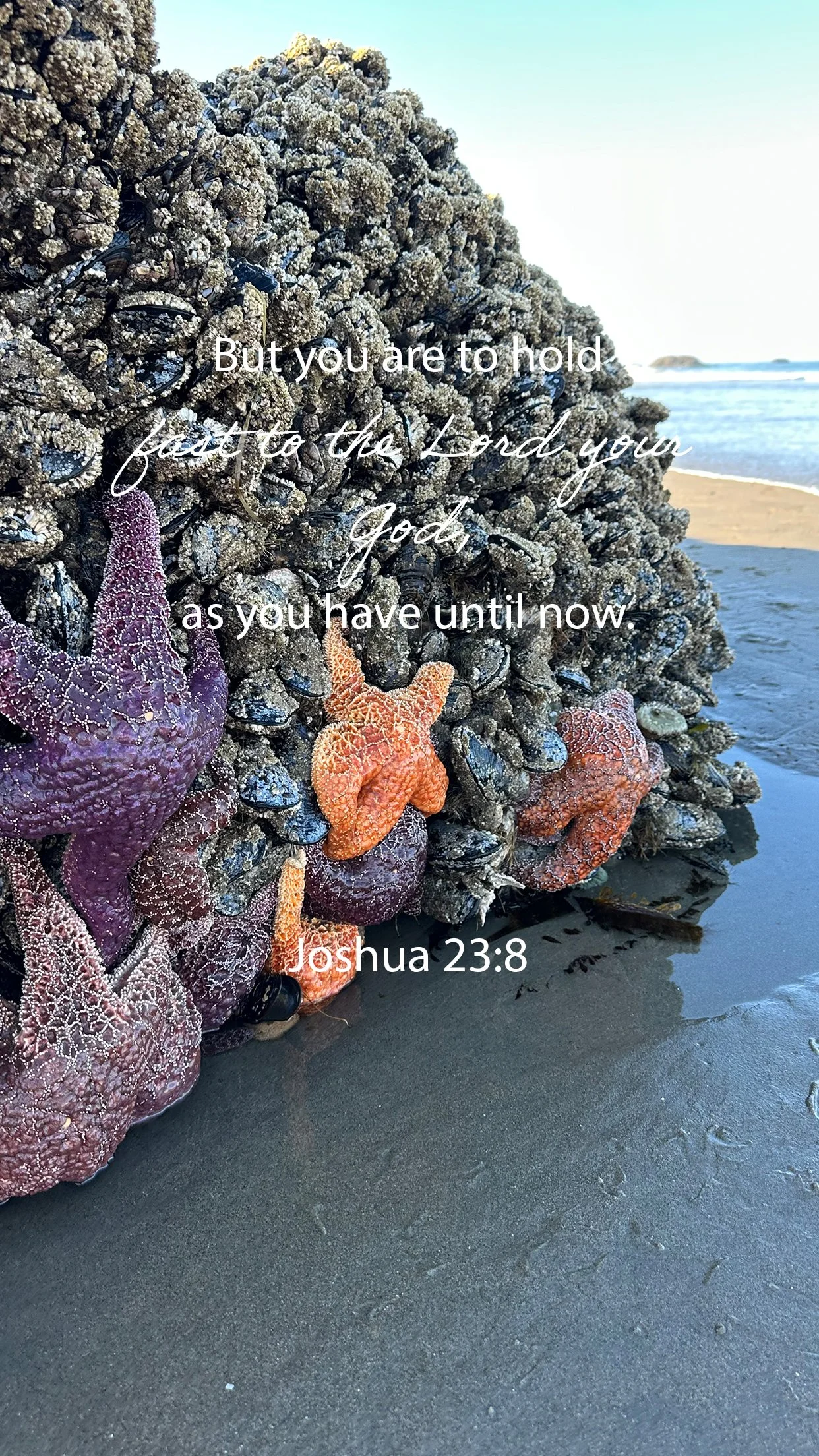 Cling to the Rock