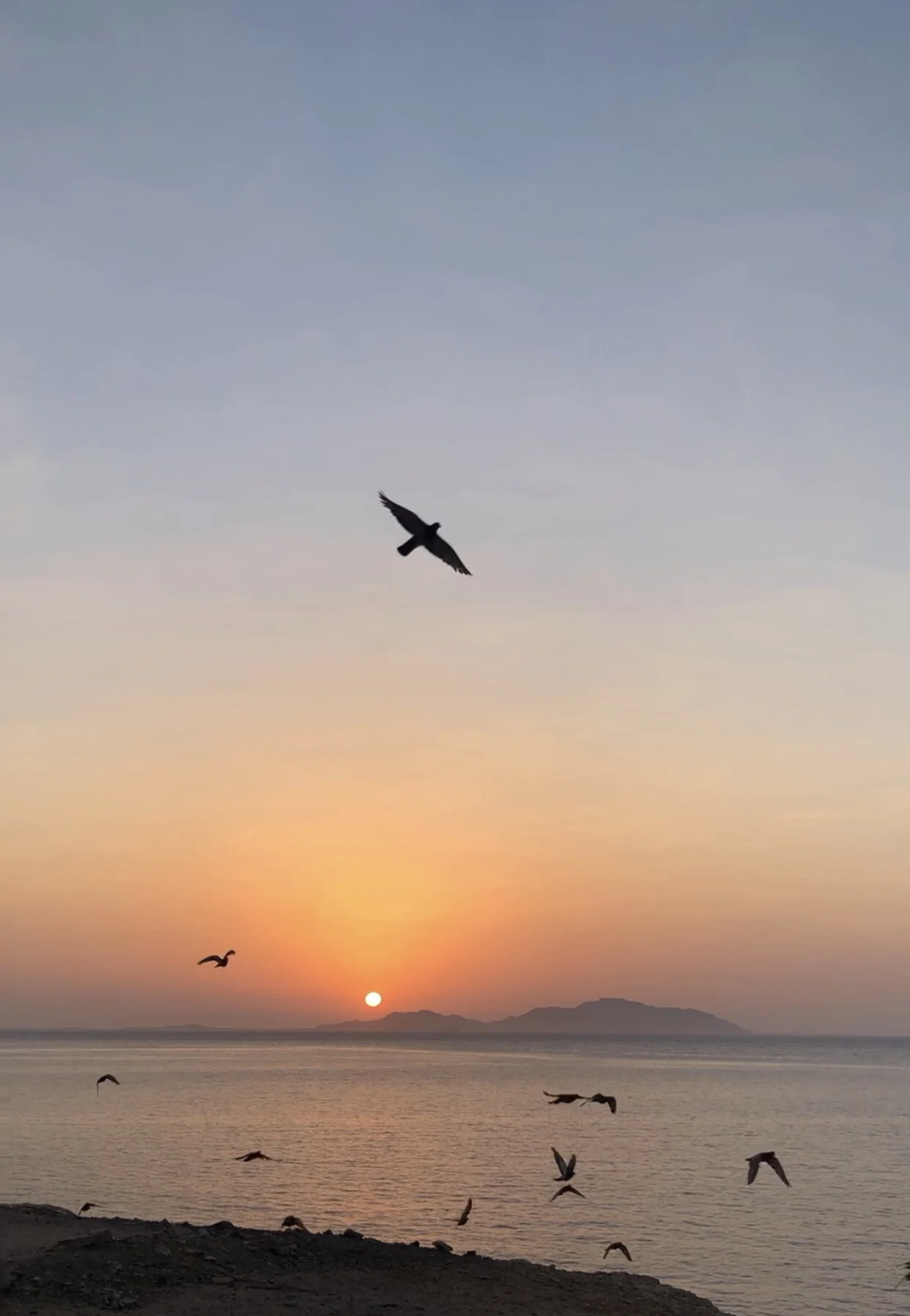 Au debut rien ne vient.