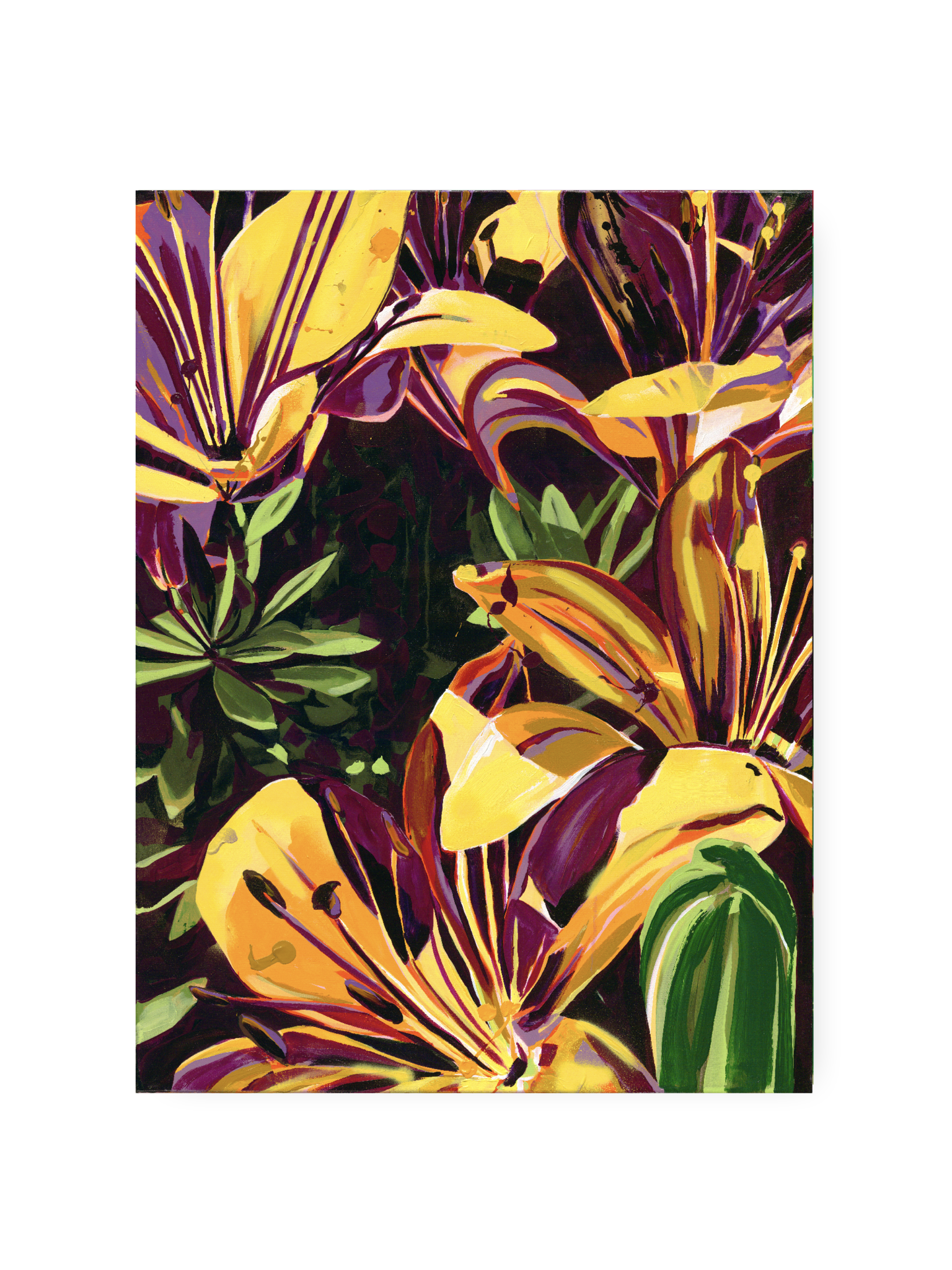 image00005.png