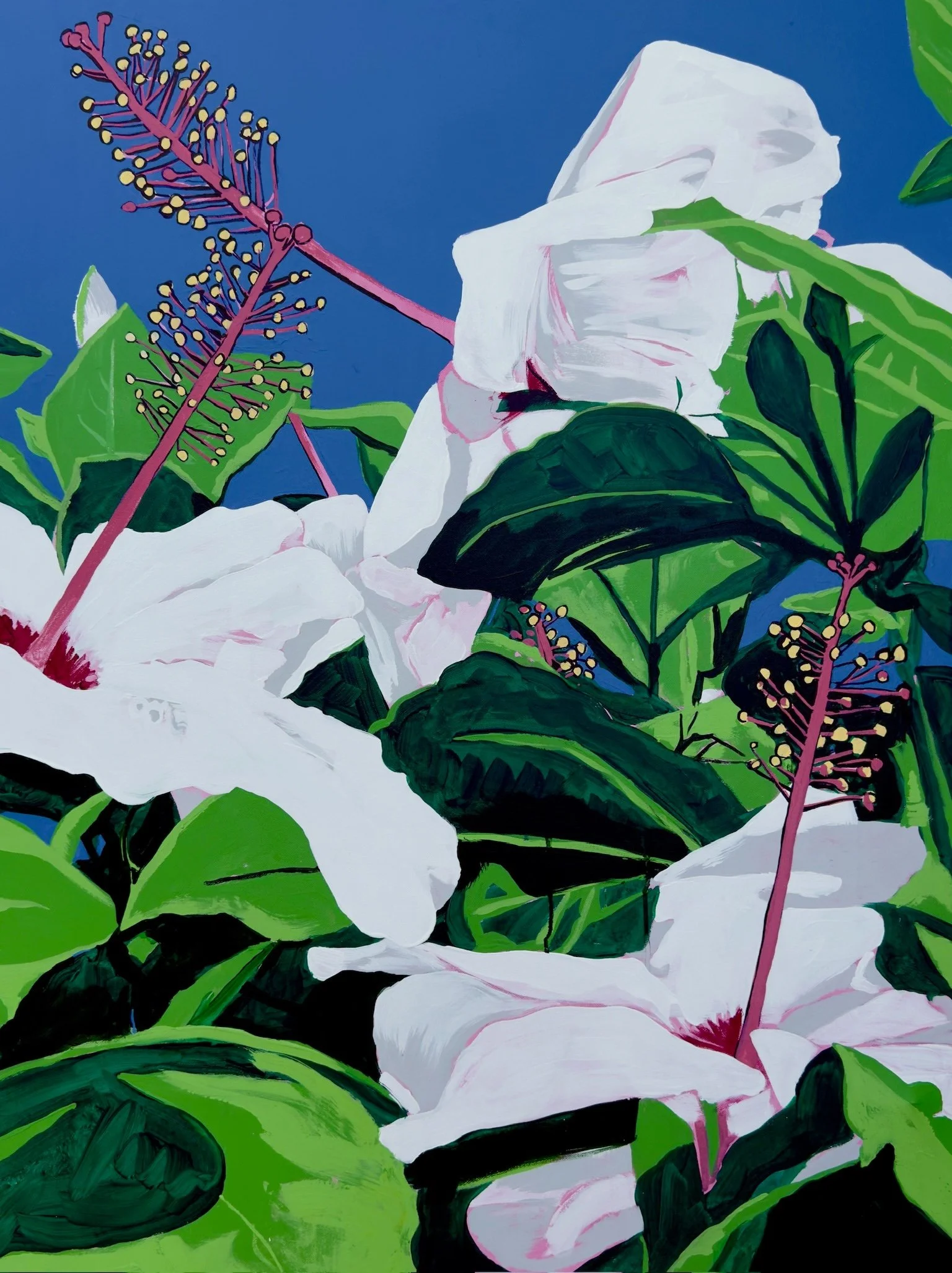 image00002.jpeg