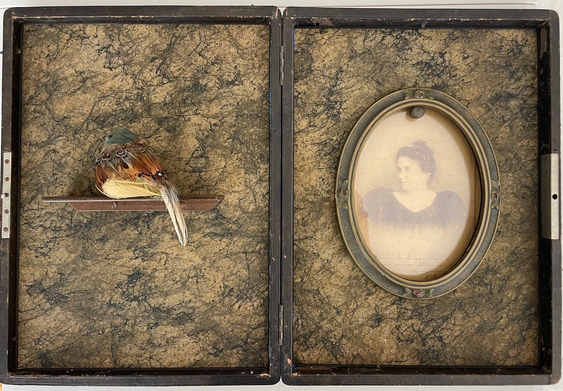 The Bird that Returned.jpg