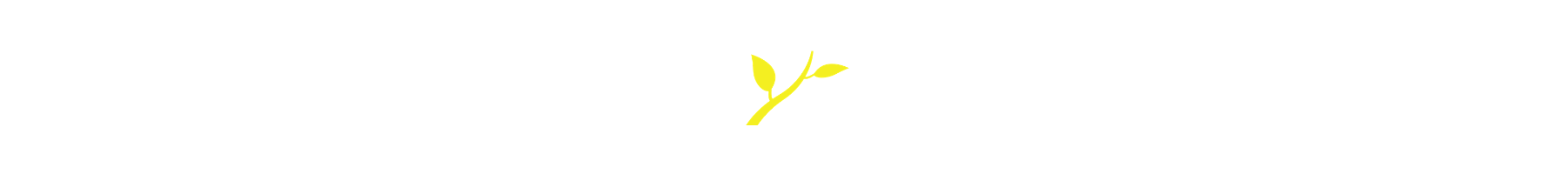 Creativity Springs - Yellow Brand Mark.png