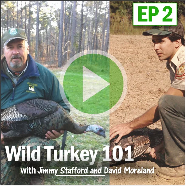 Epiosde 2: Wild Turkey 101