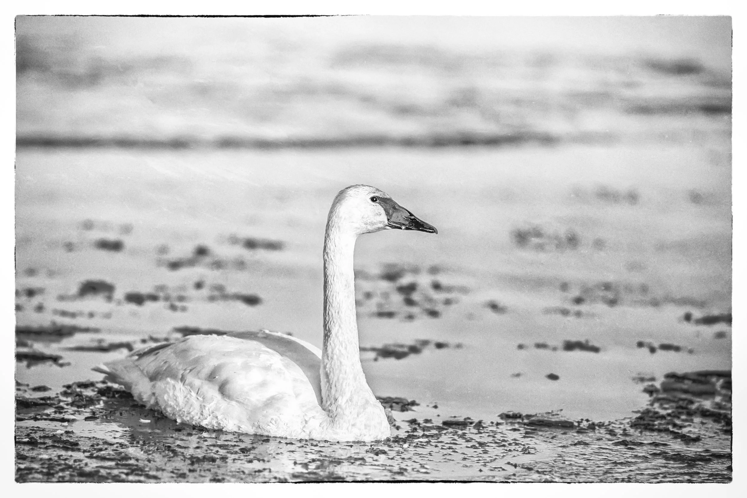 _IMG0014-HDR-2-Edit-Edit-Edit.jpg