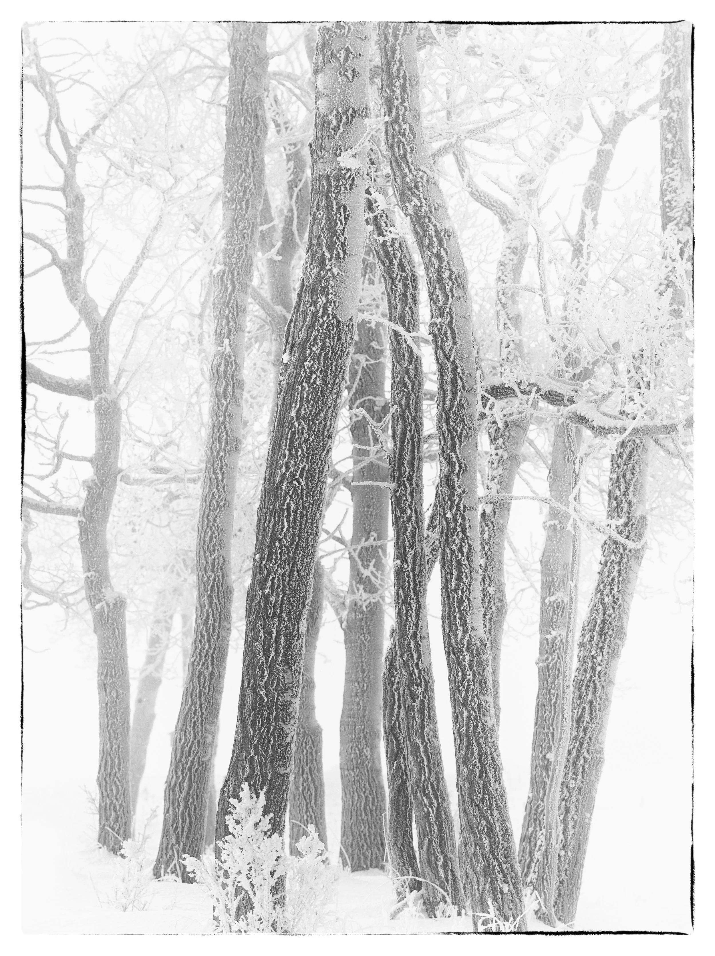 _IMG0011-Edit-Edit.jpg