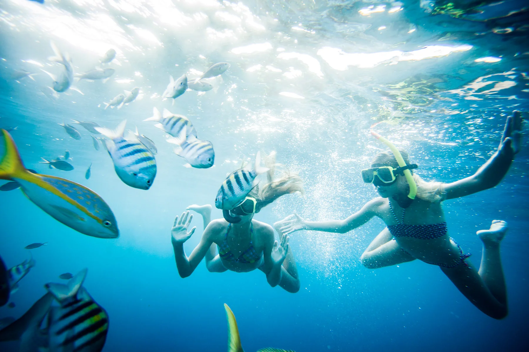 57-snorkeling_3547_edit.jpg