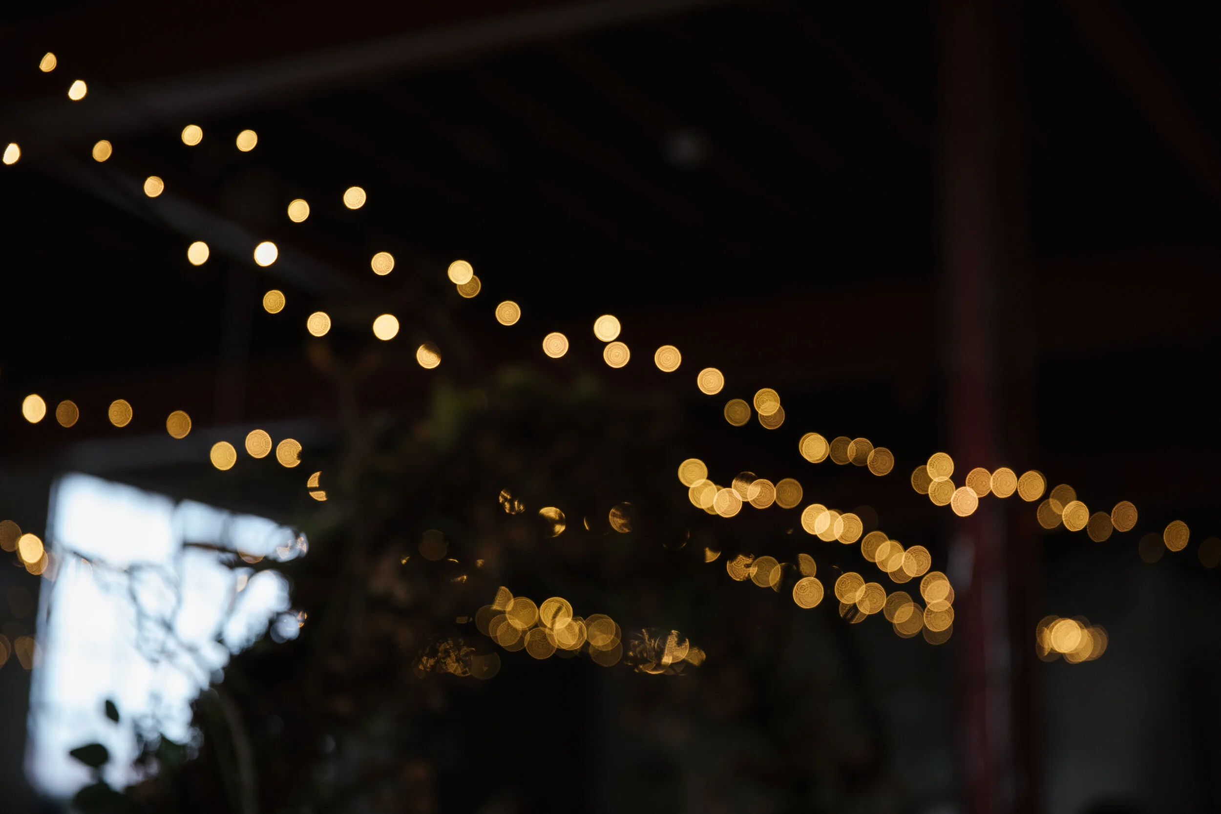 Winter Open Day - Fairy Lights