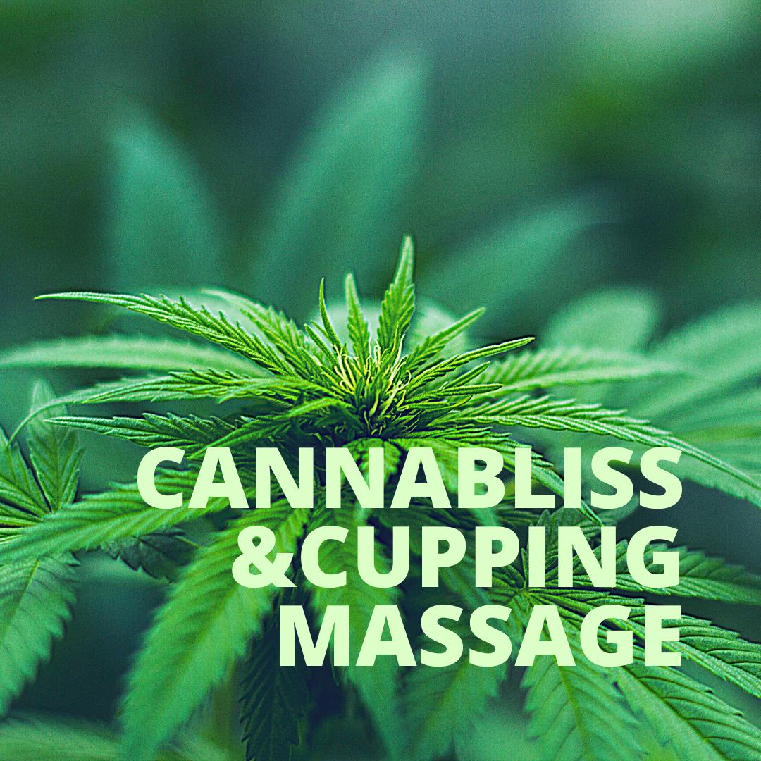 CANNABLISS + CUPPING MASSAGEClass aptent taciti sociosqu ad litora torquent per conubia nostra, per inceptos himenaeos. Nullam sit amet nisi condimentum erat iaculis auctor. Fusce at massa nec sapien auctor gravida in in tellus. Suspendisse nec cong…