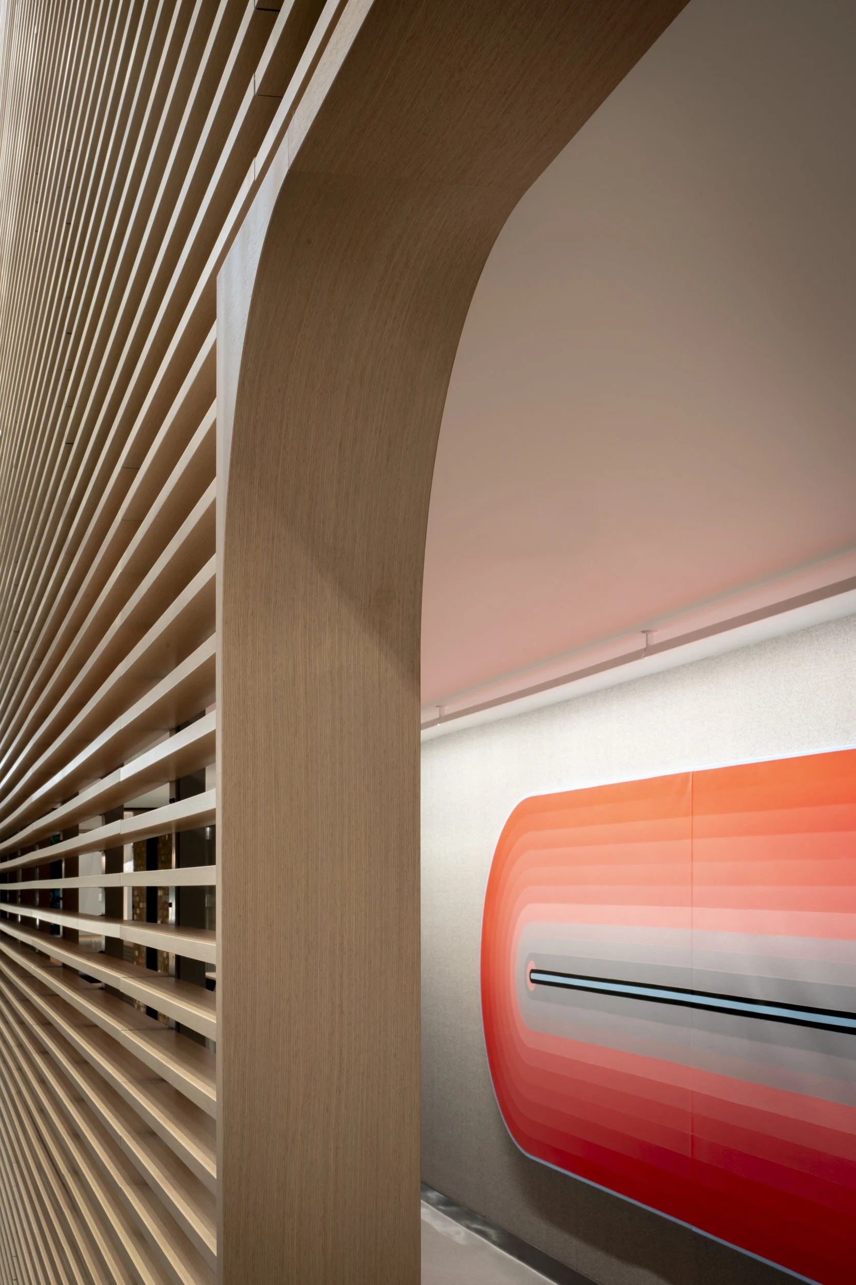 Amazon Blackfoot — FC STUDIO