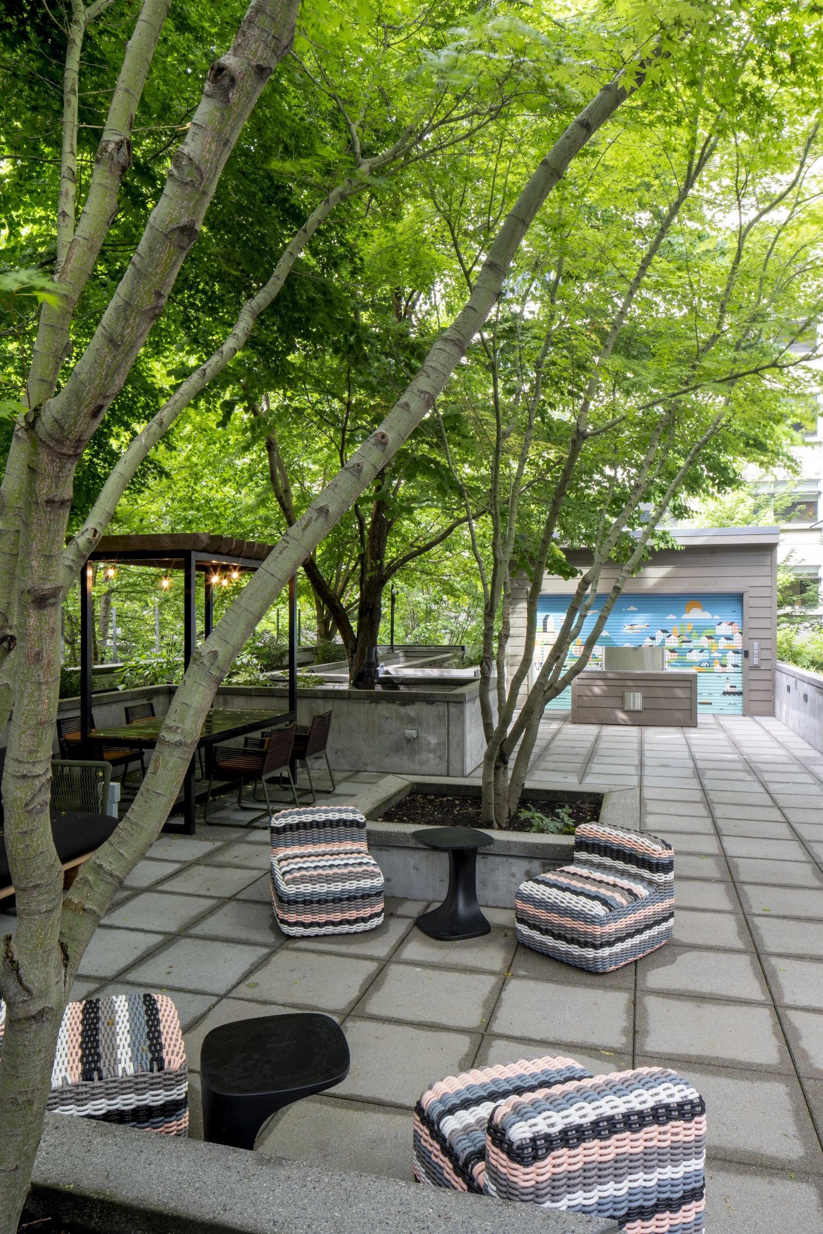 Amazon Blackfoot — FC STUDIO