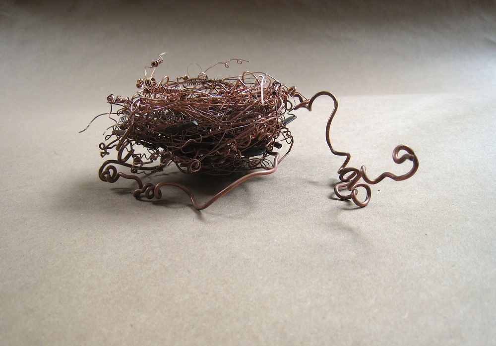nest