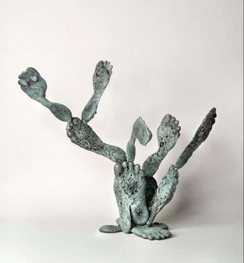 Foot Cactus