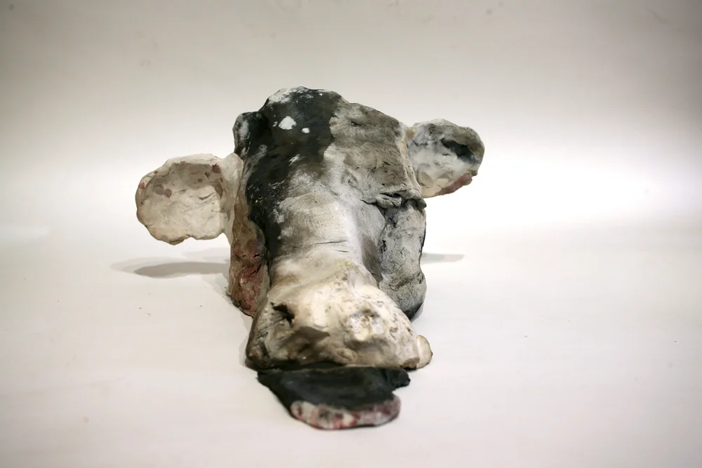 Cow Head