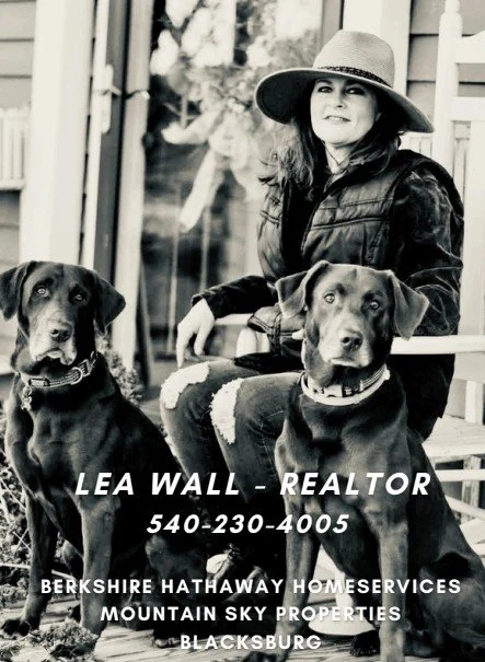 Lea Wall, Realtor