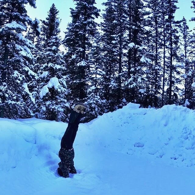 Pranayama. Breath-work. Day 11. .
.
.
With things a little upside down (get it?😏) the breath has been nothing short of an anchor. 🙏💨🌬⚡️
.
.
.
#breathetogetheryoga #jennprughyoga #theresnoplacelikehome #headstand #upsidedown #lakelouise #tree #bre