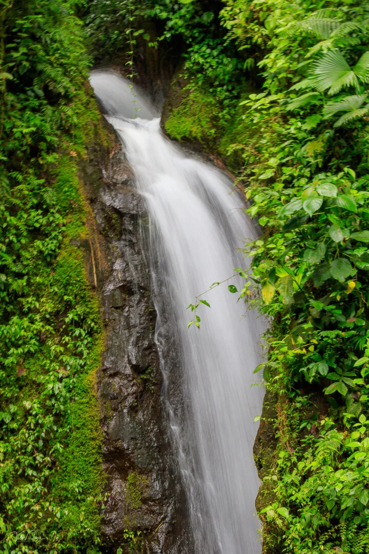 Costa Rica-0640-December 16, 2016.jpg