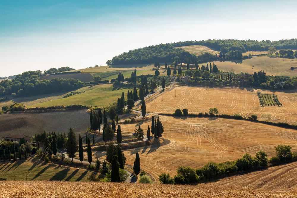Val d'Orcia, Italy-0445-July 26, 2019.jpg