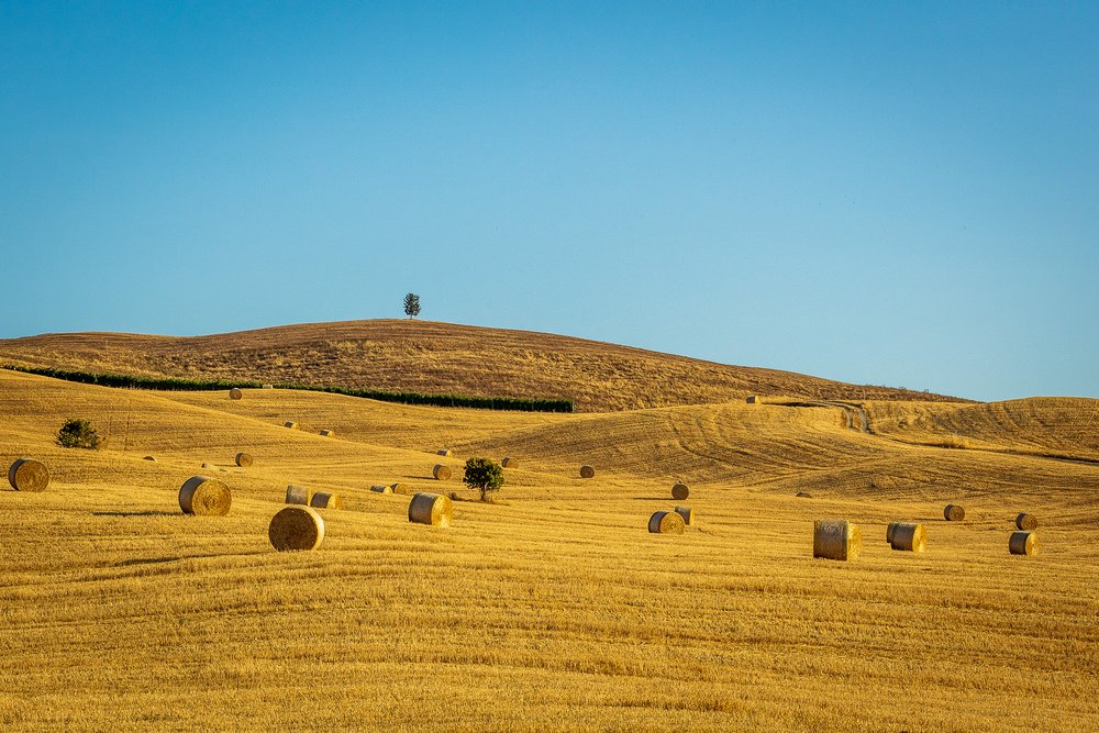 Val d'Orcia, Italy-0393-July 26, 2019.jpg
