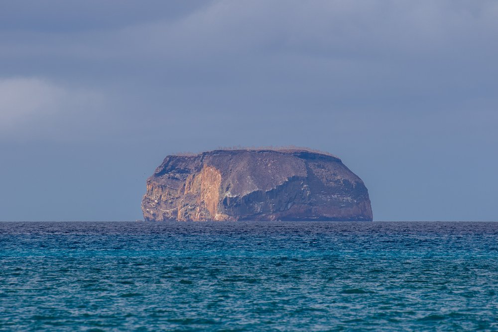 Gallapagos Islands-0637-December 16, 2015.jpg