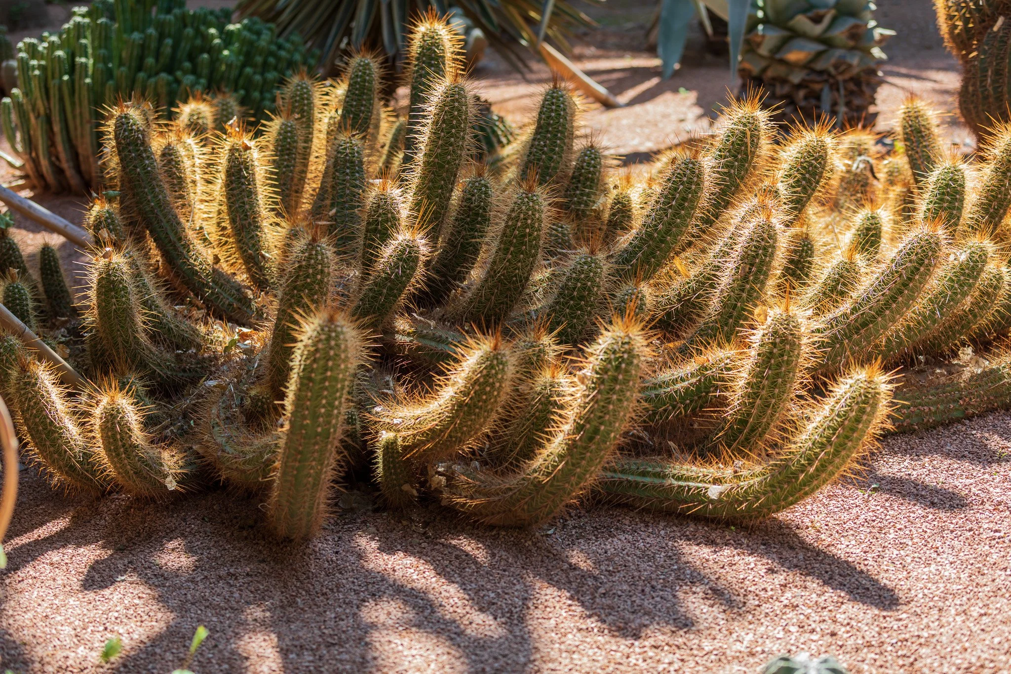 Marrakech, Morocco-0094-February 22, 2018.jpg