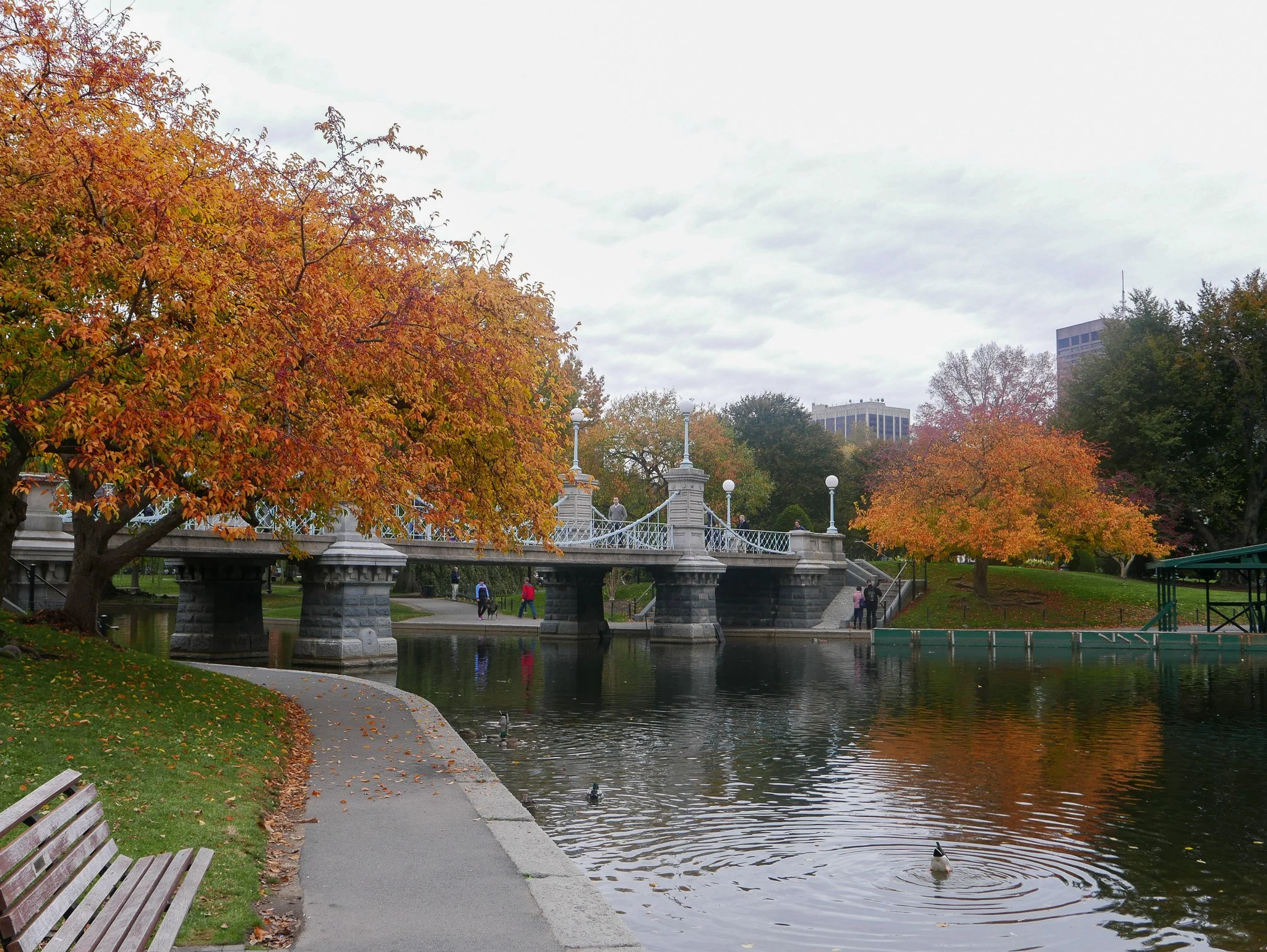 Boston, MA-0099-November 05, 2016.jpg