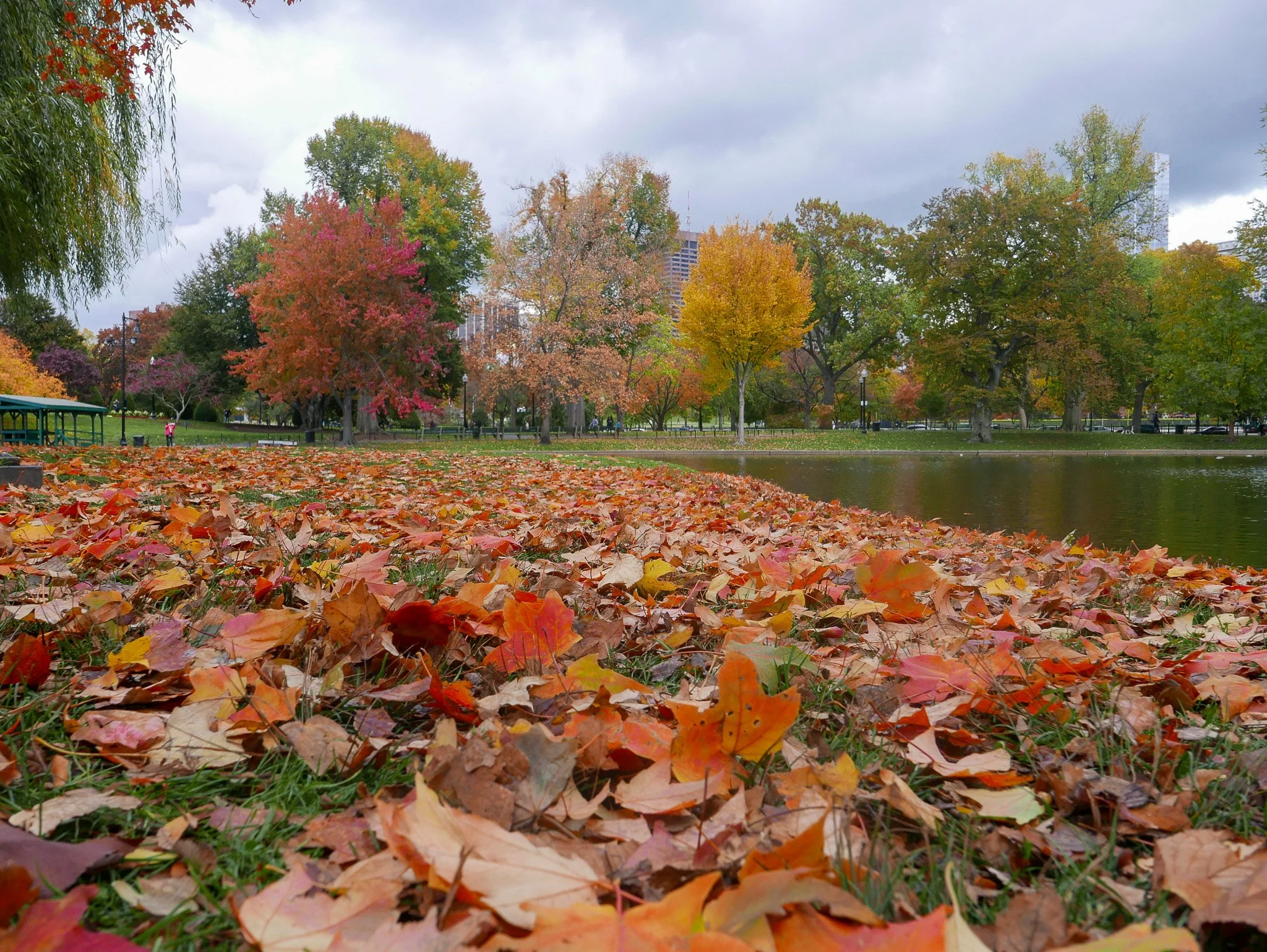 Boston, MA-0154-November 06, 2016.jpg