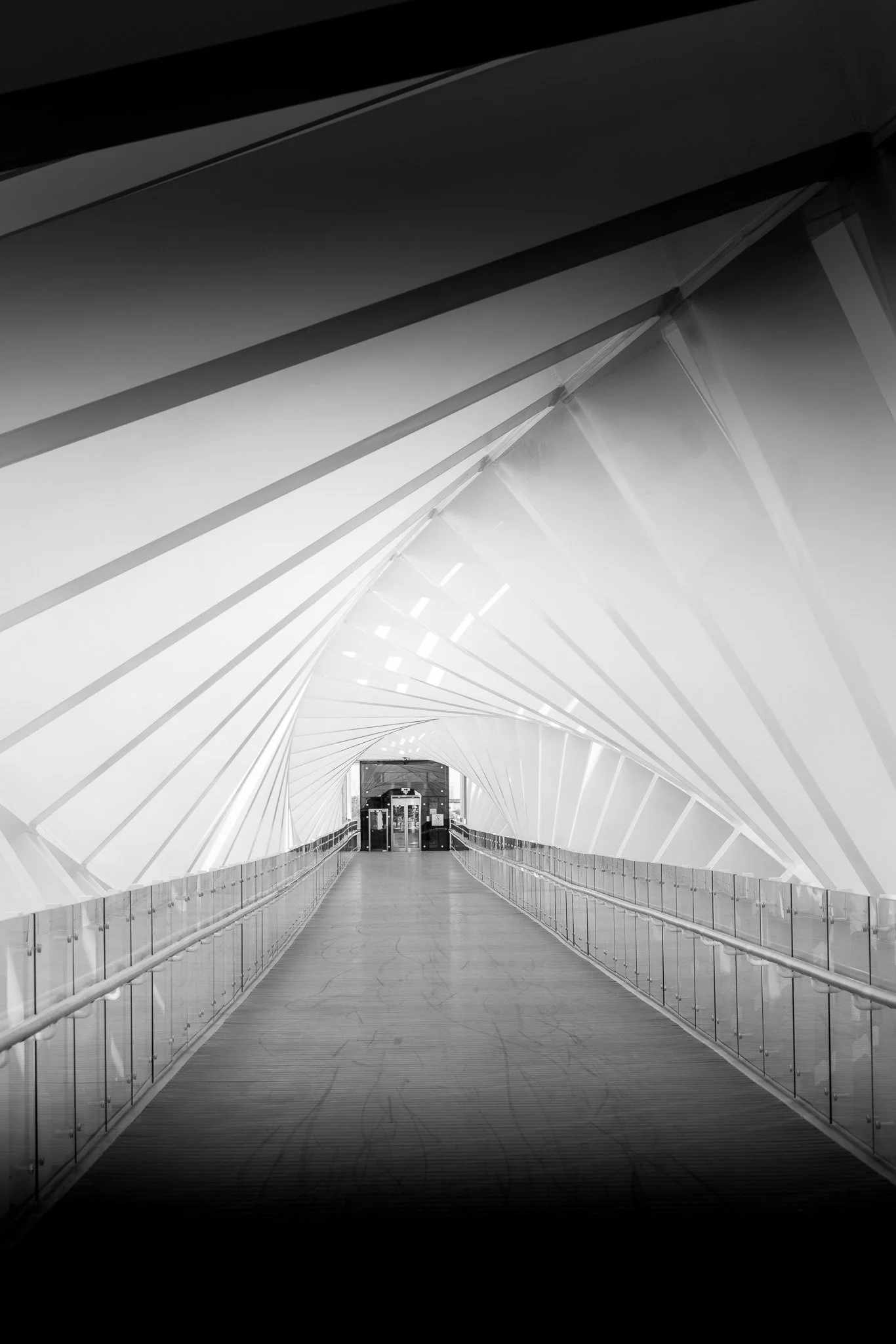 Dubai_December 19, 2025_12239.jpg