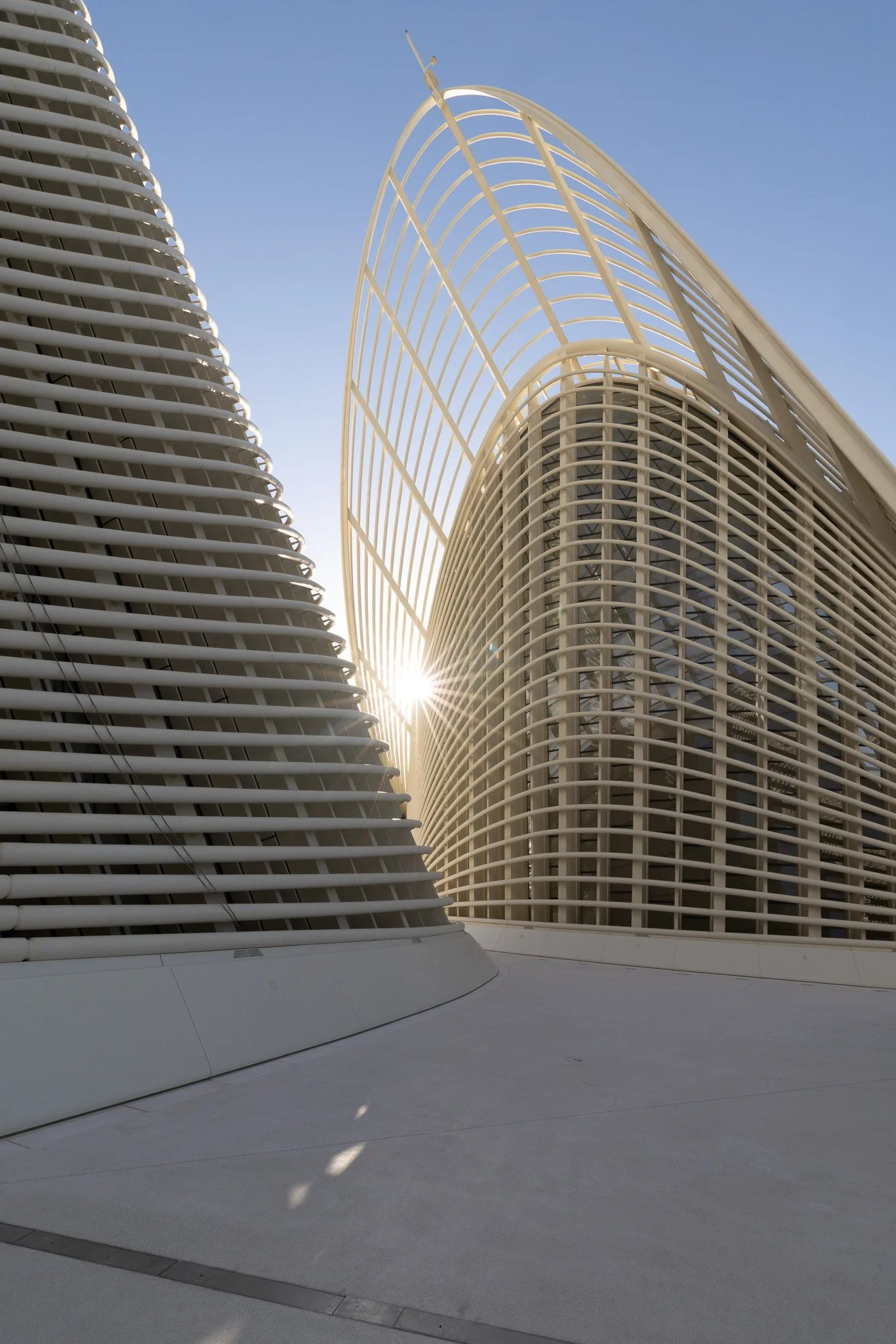 untitled_January 06, 2026_14285.jpg