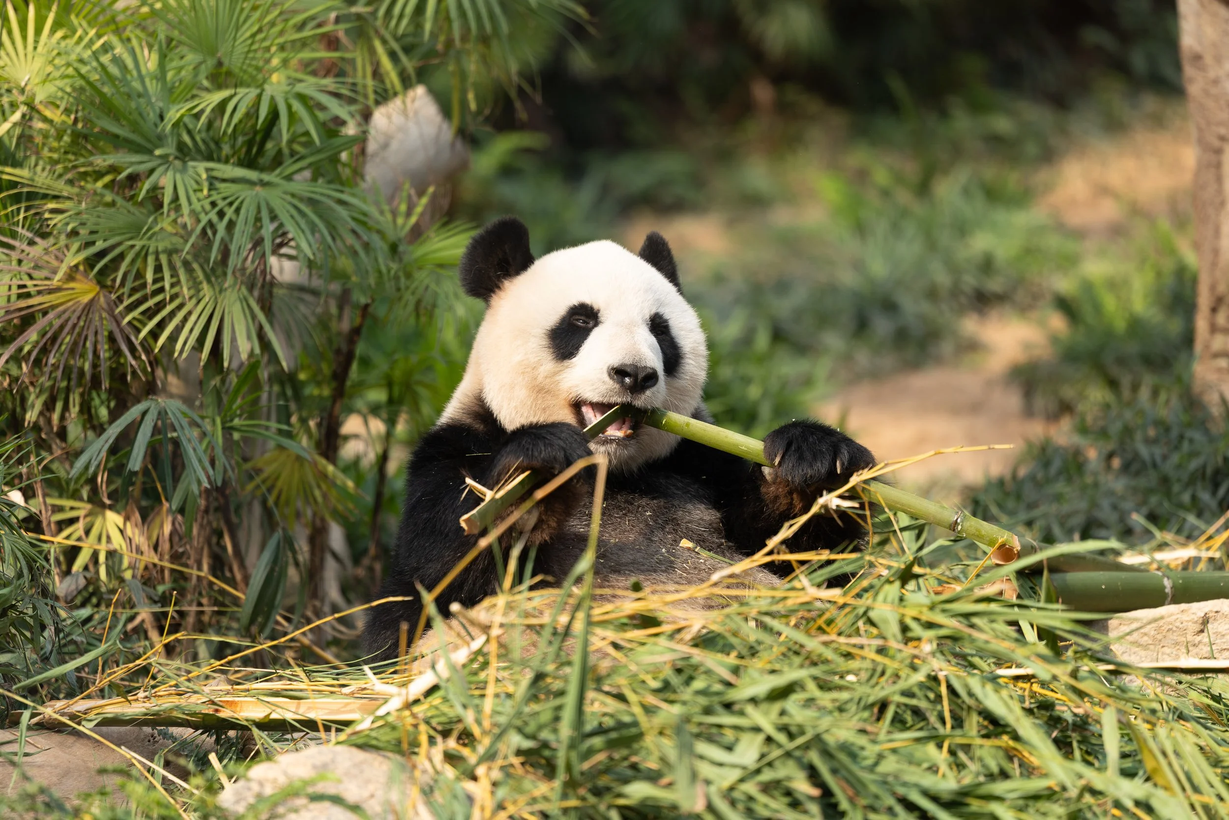 My Photography &amp; Travel Guide to Macau, (China)