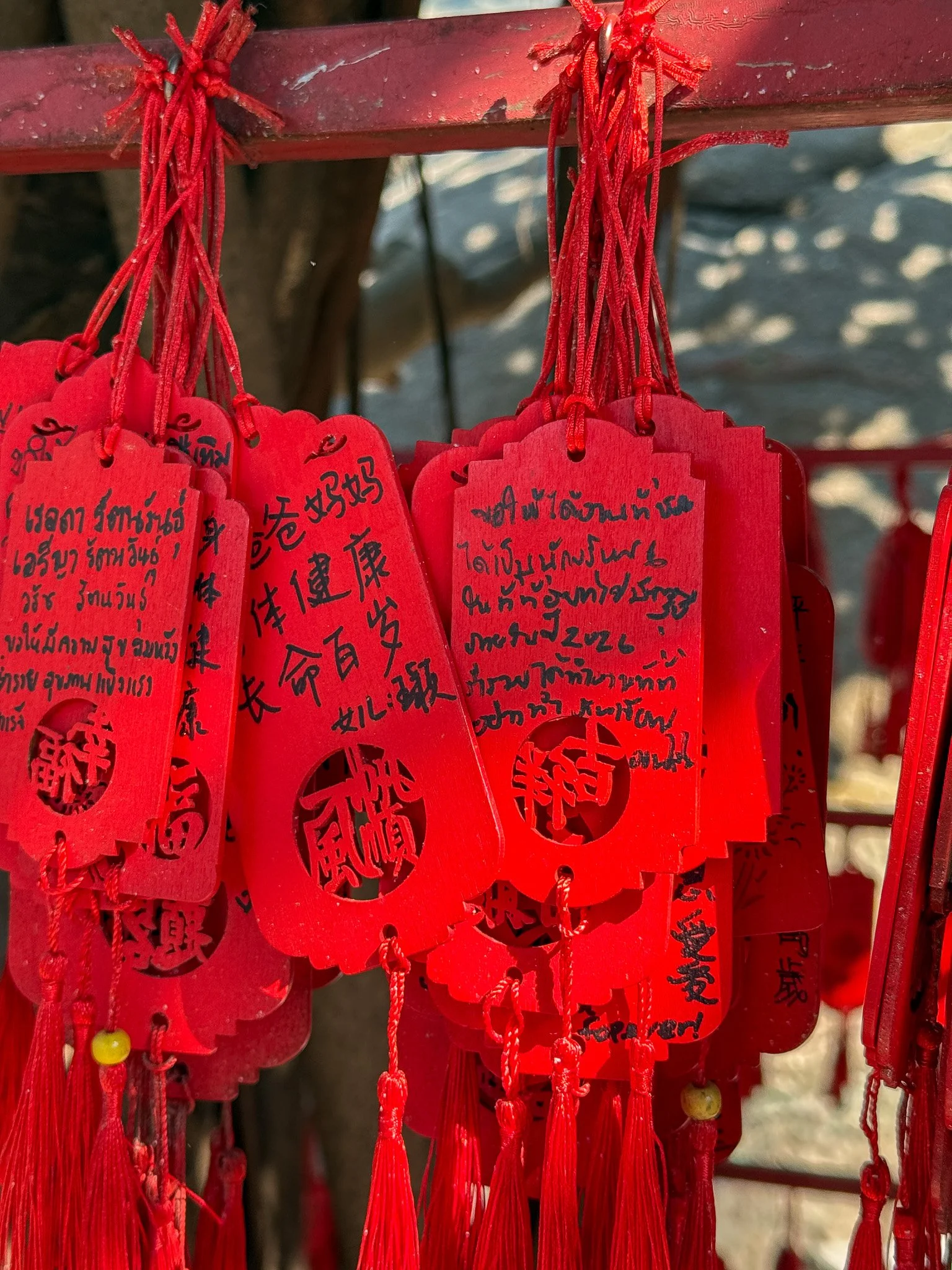 untitled_January 02, 2026_16440.jpg