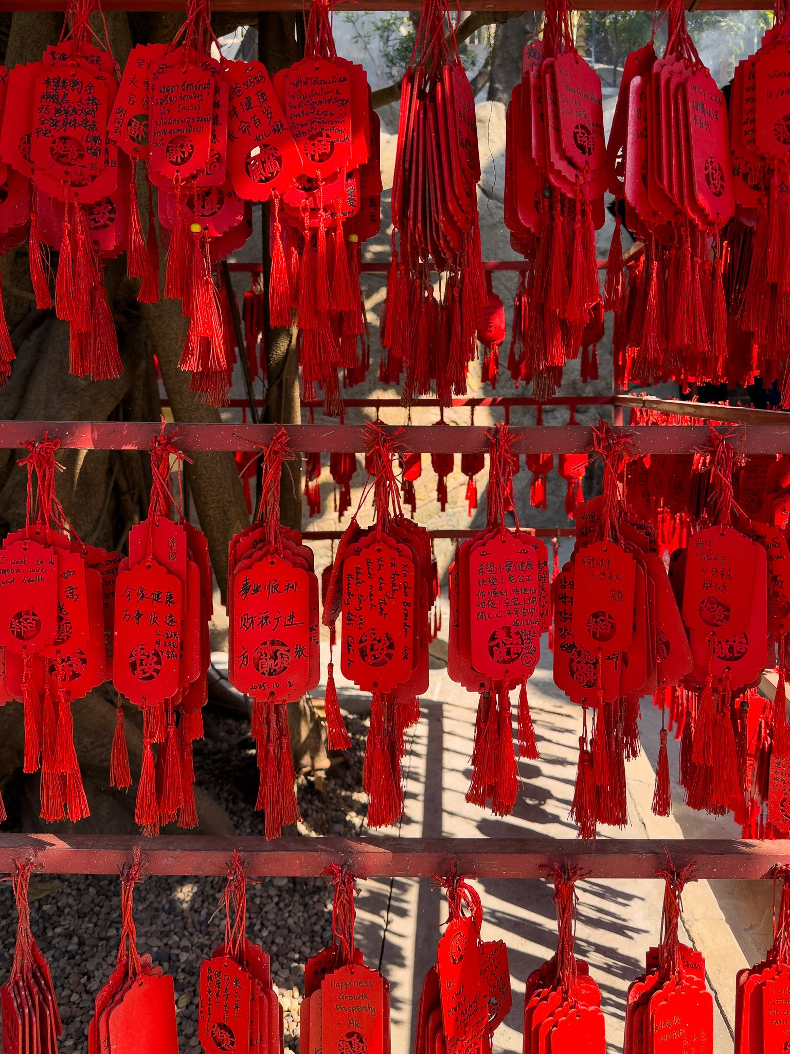 untitled_January 02, 2026_16438.jpg