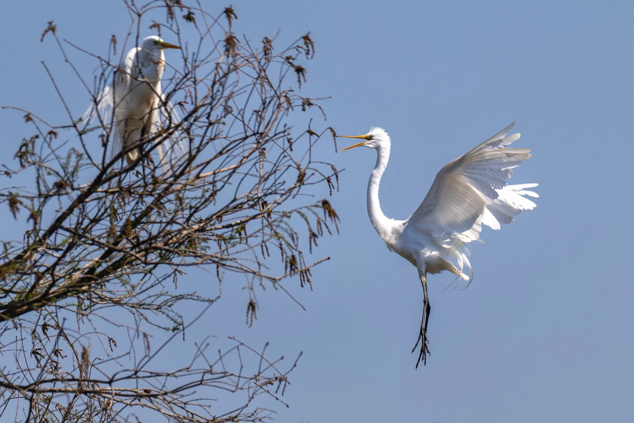 5_Charleston, South Carolina_March 19, 2026_01133__X8A4981-2-Edit.jpg