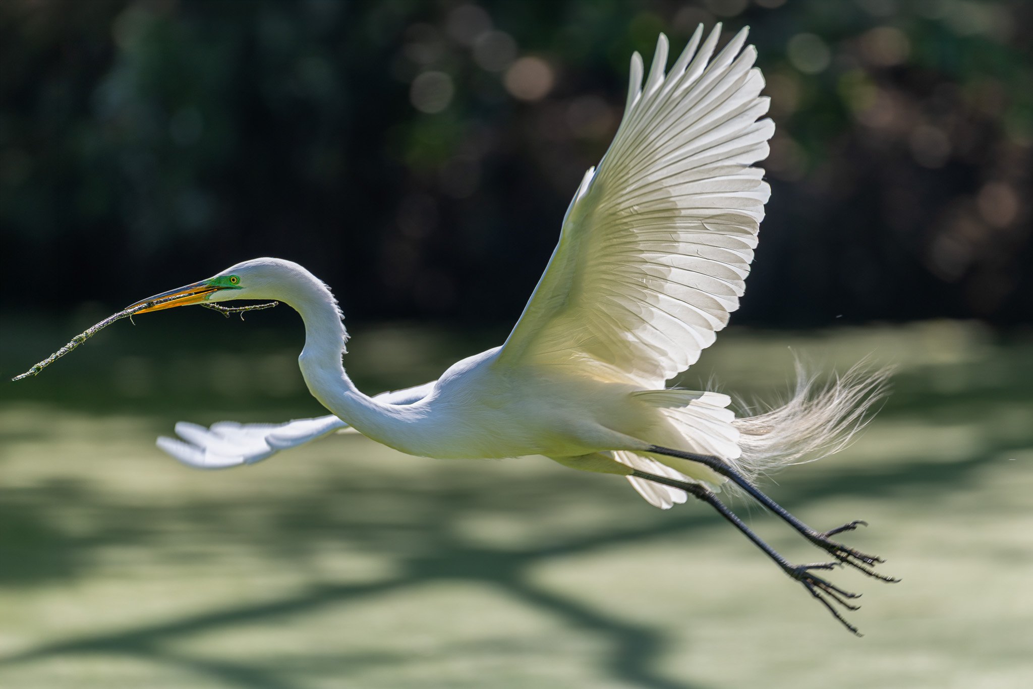 2_Charleston, South Carolina_March 19, 2026_01234__X8A4573-2-Edit-Edit.jpg
