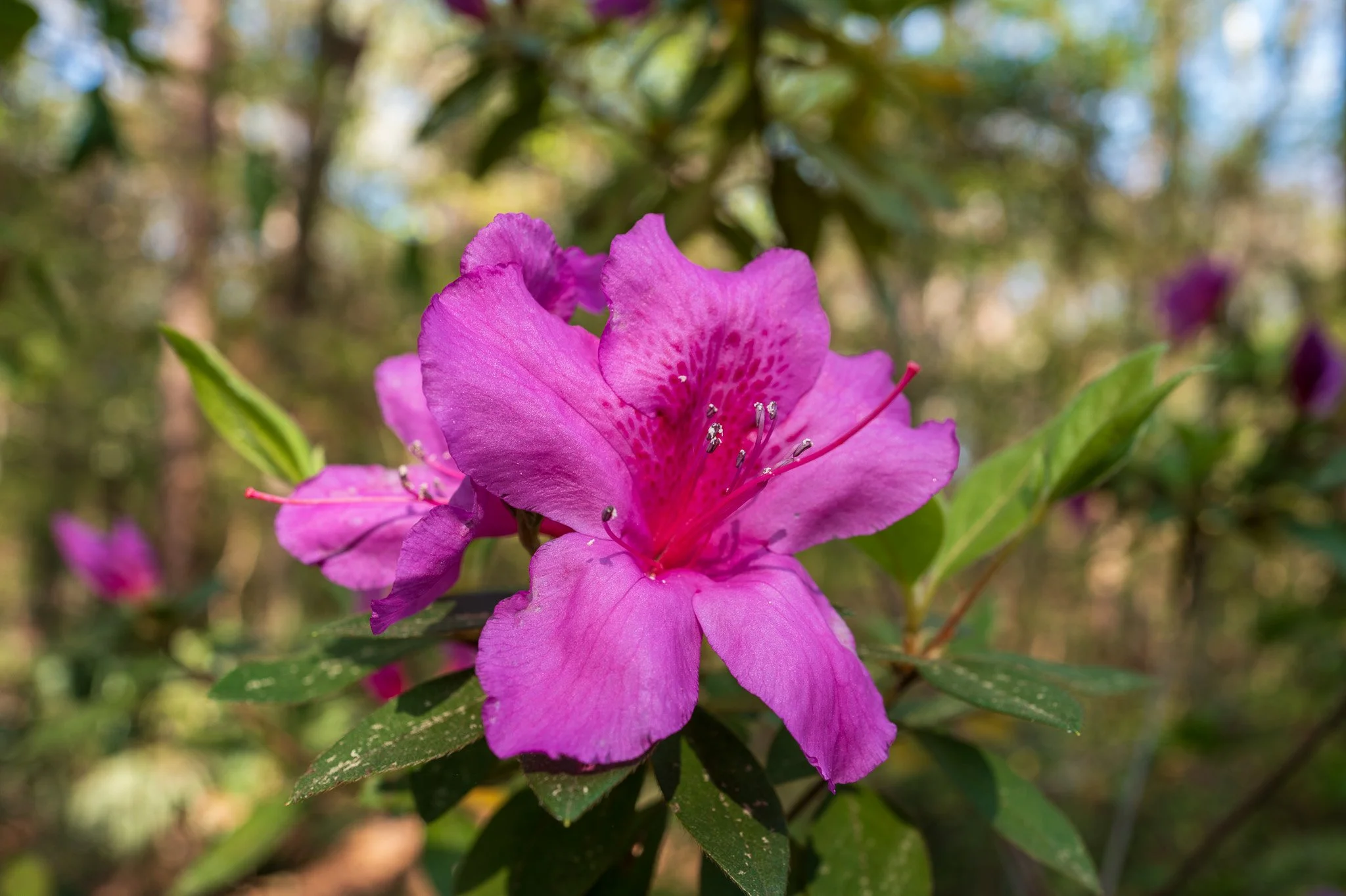 Charleston, South Carolina_March 20, 2026_00758_Q1011795.jpg