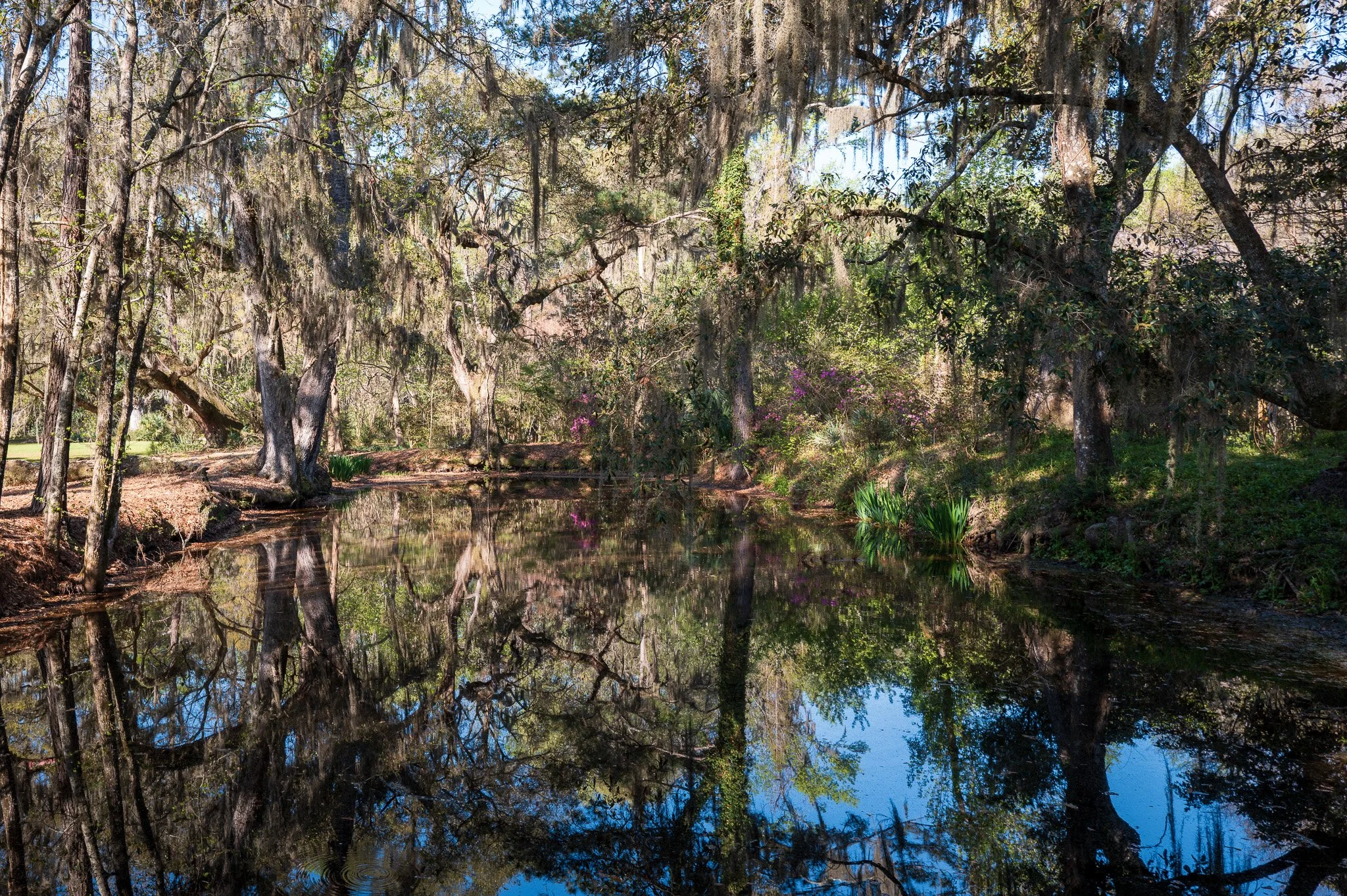 Charleston, South Carolina_March 20, 2026_00745_Q1011816.jpg