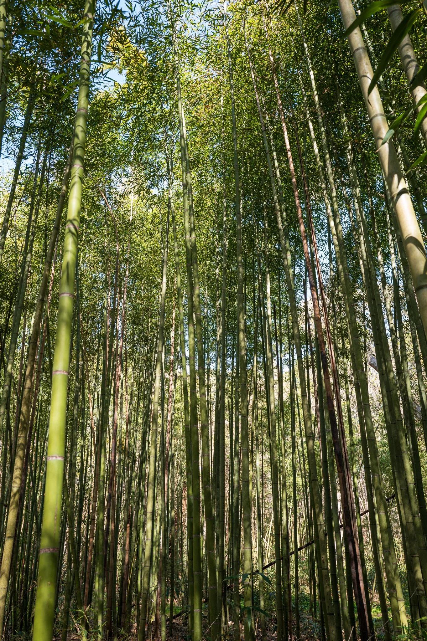 Charleston, South Carolina_March 20, 2026_00749_Q1011820.jpg