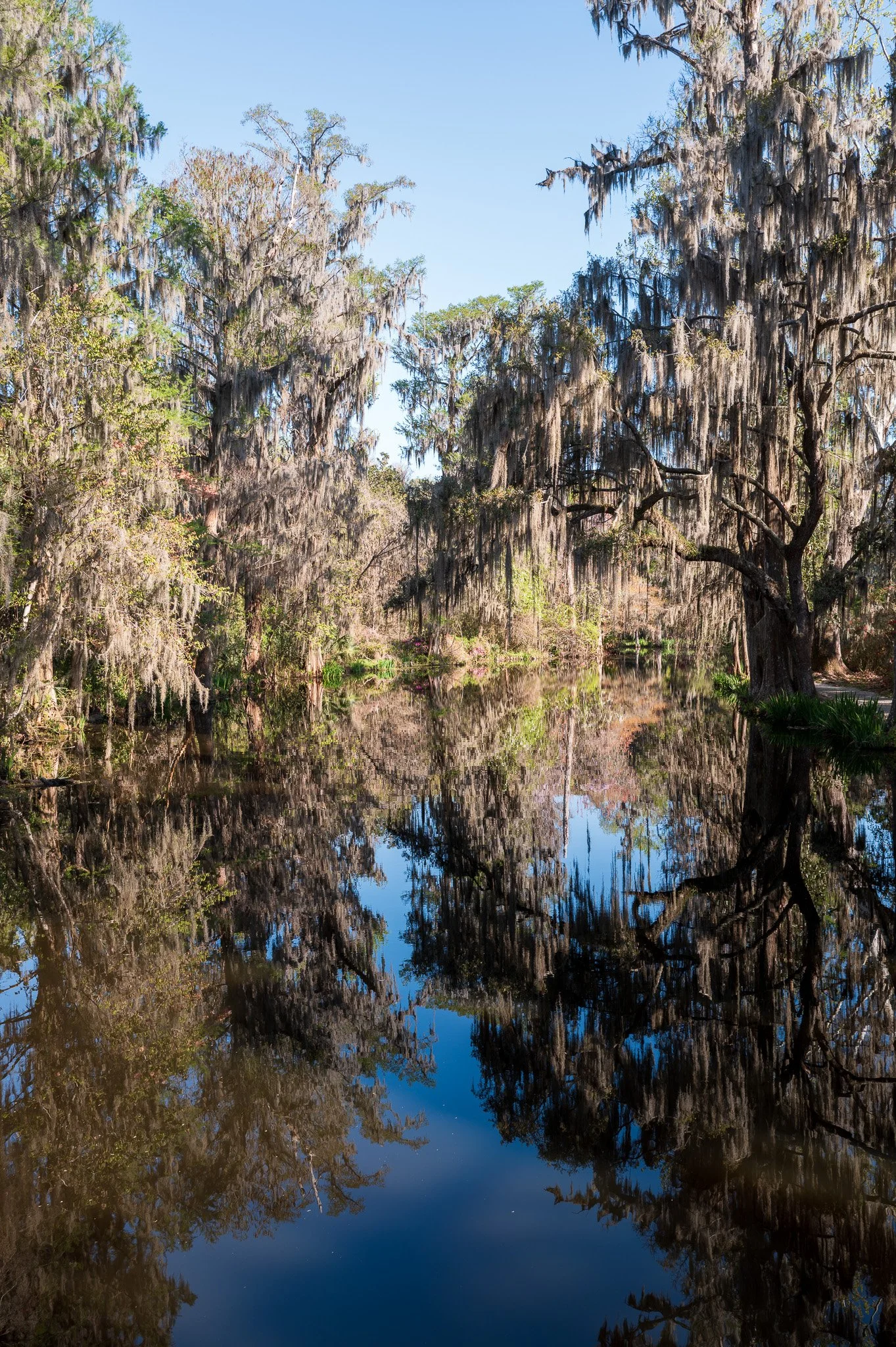 Charleston, South Carolina_March 20, 2026_00748_Q1011819.jpg