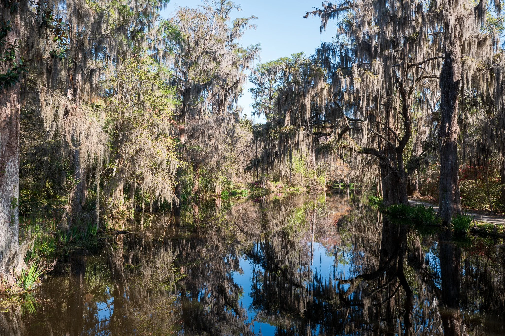 Charleston, South Carolina_March 20, 2026_00747_Q1011818.jpg