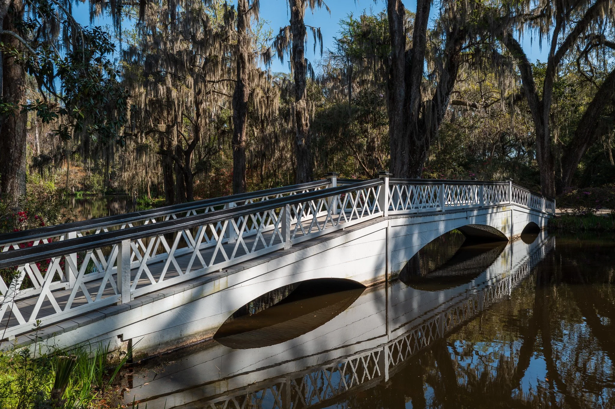Charleston, South Carolina_March 20, 2026_00746_Q1011817.jpg