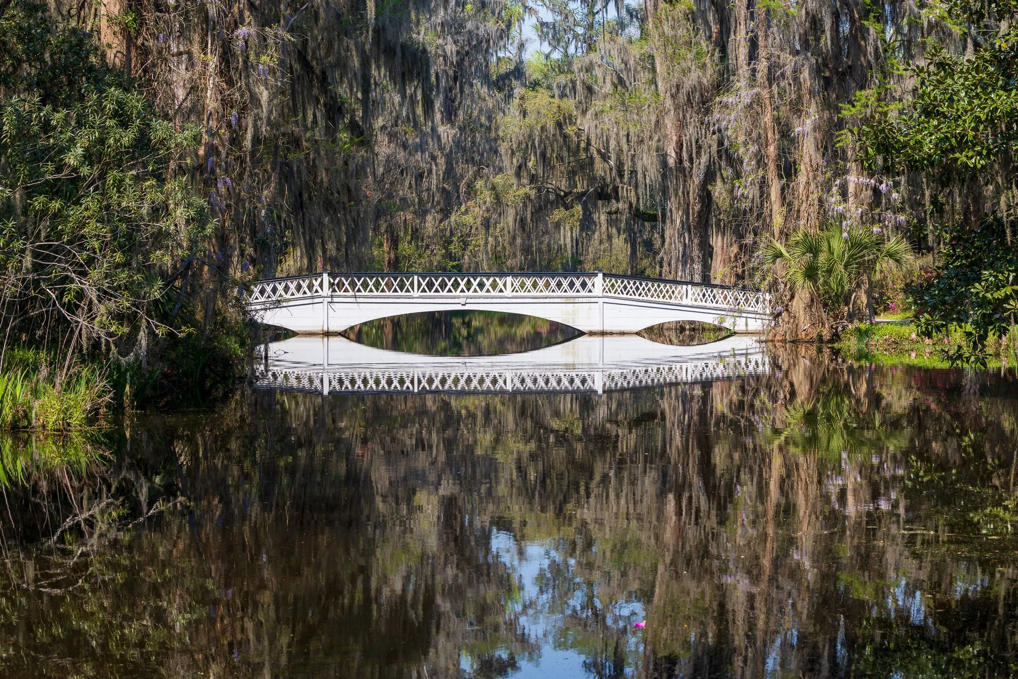 Charleston, South Carolina_March 20, 2026_00086__P6A3441.jpg